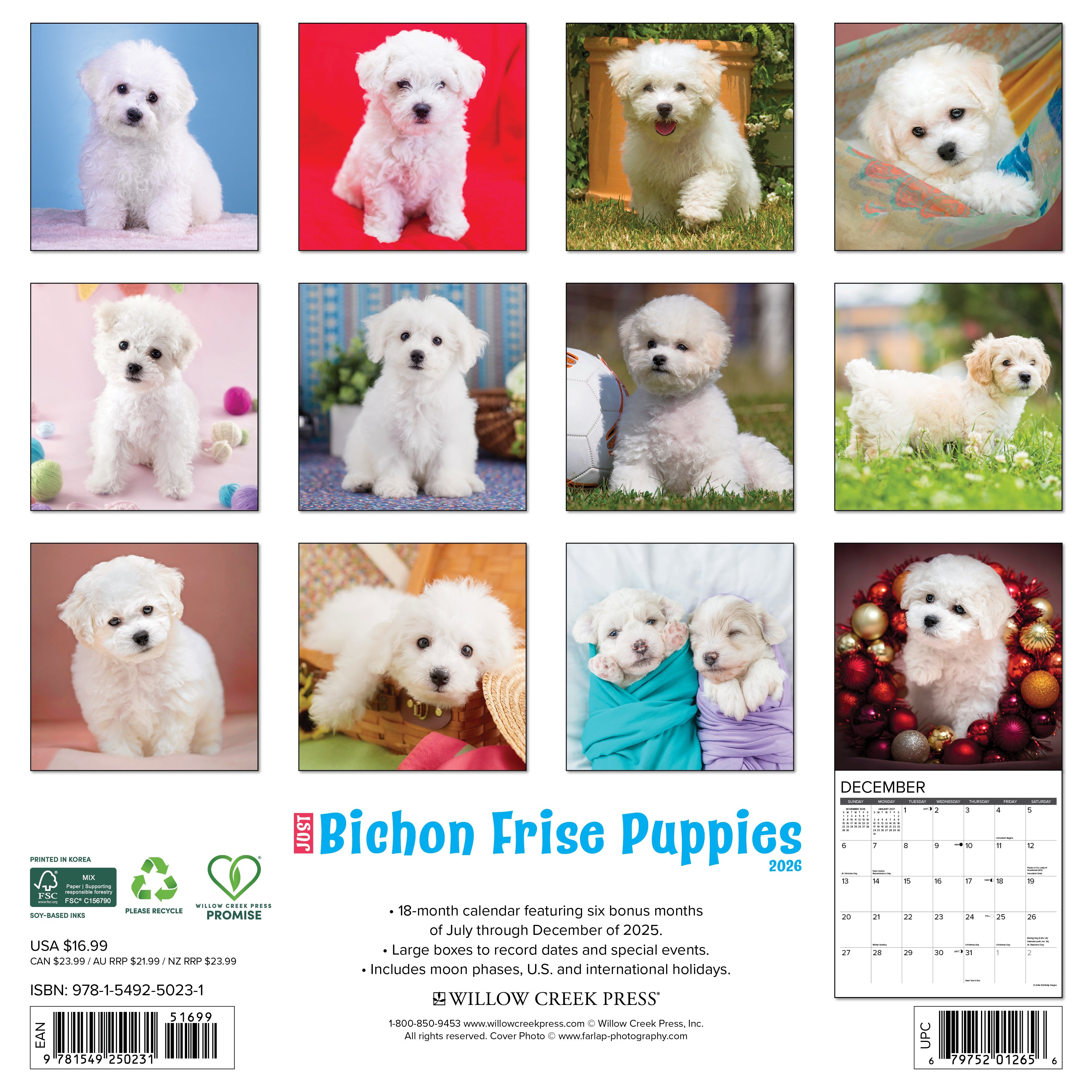 2026 Wall Calendar featuring adorable Bichon Frise puppies in a colorful layout, perfect for dog lovers.