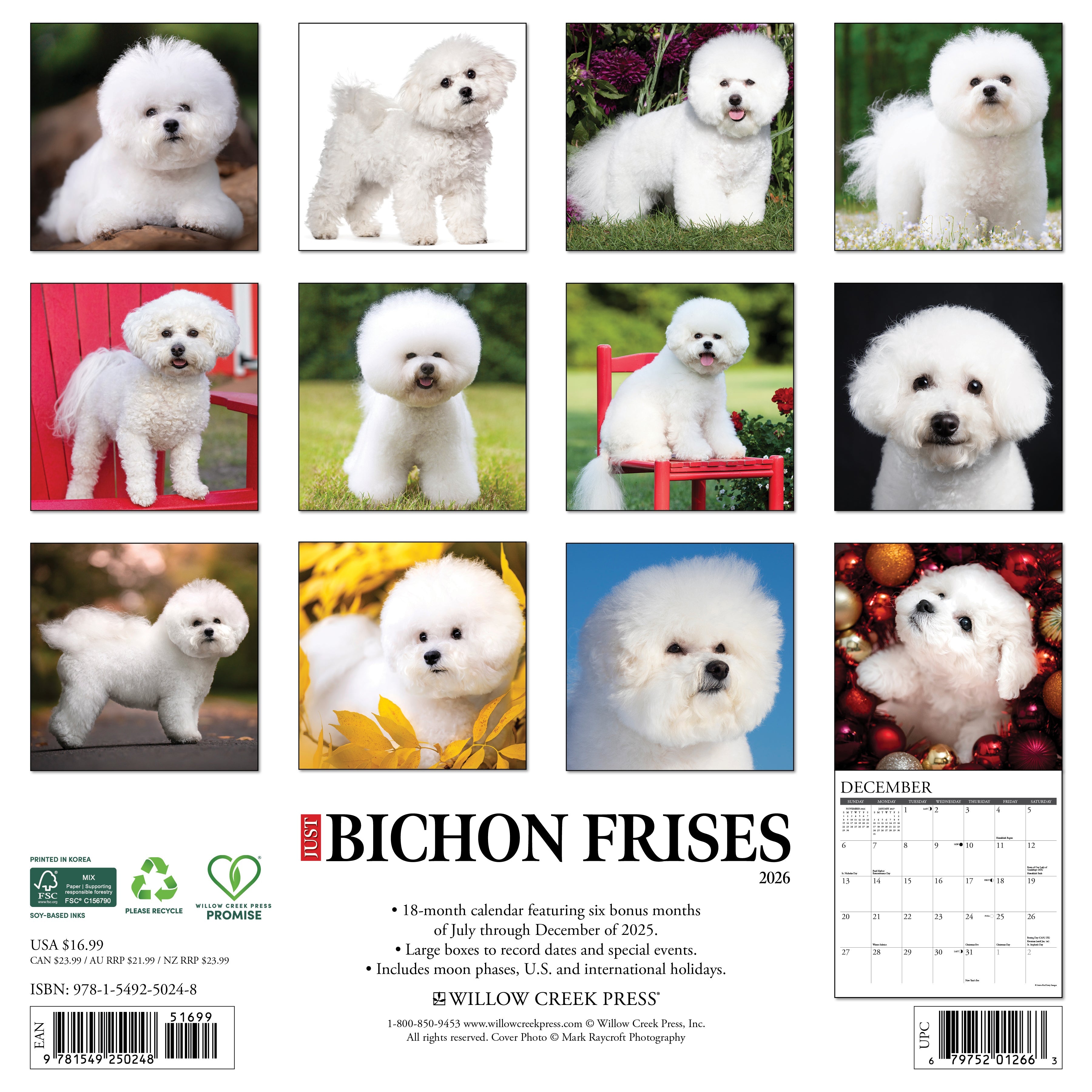Bichon Frises 12" x 12" 2026 Wall Calendar featuring fluffy Bichon portraits and organized layout.