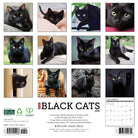2026 Wall Calendar featuring adorable portraits of black cats, showcasing their charm and elegance.