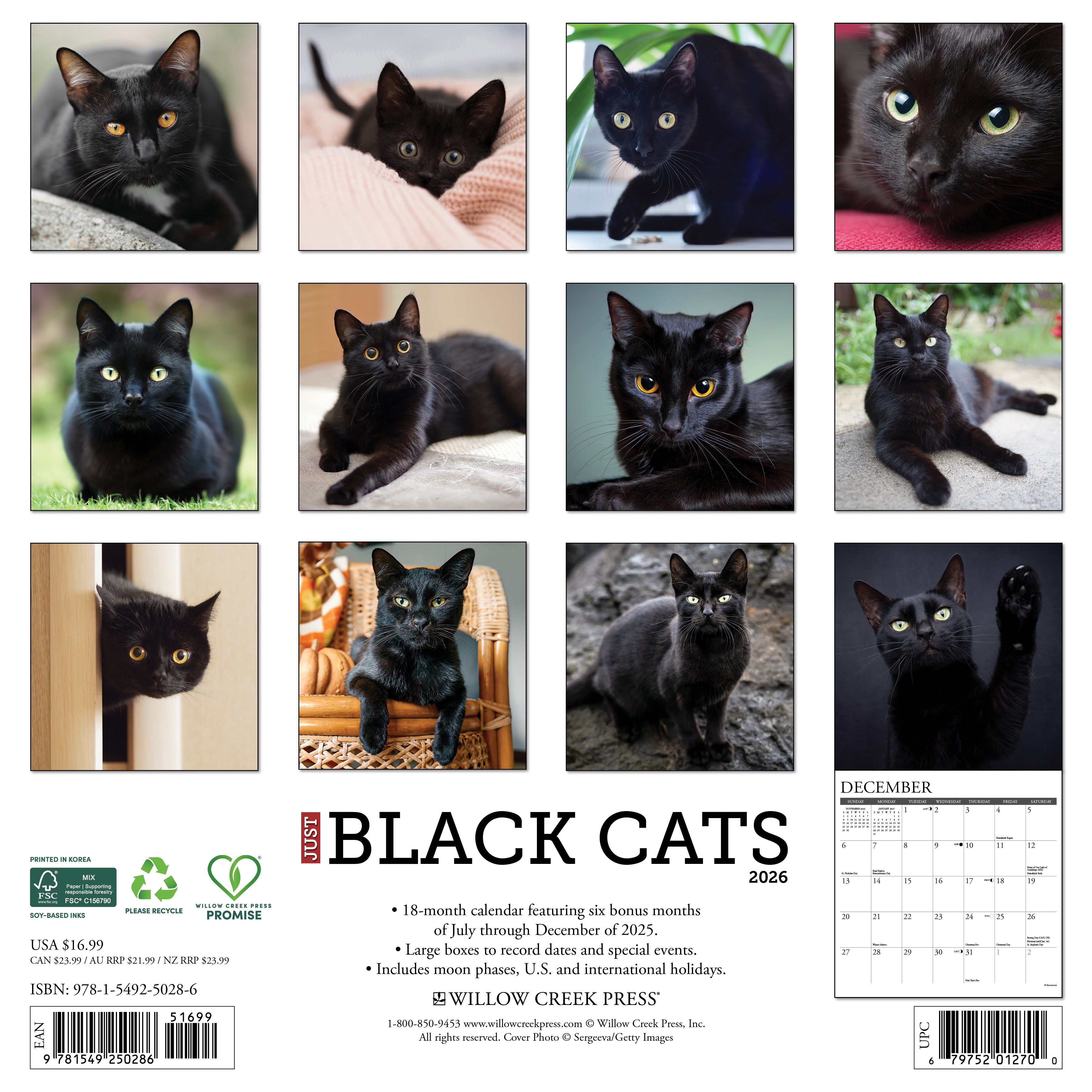 2026 Wall Calendar featuring adorable portraits of black cats, showcasing their charm and elegance.