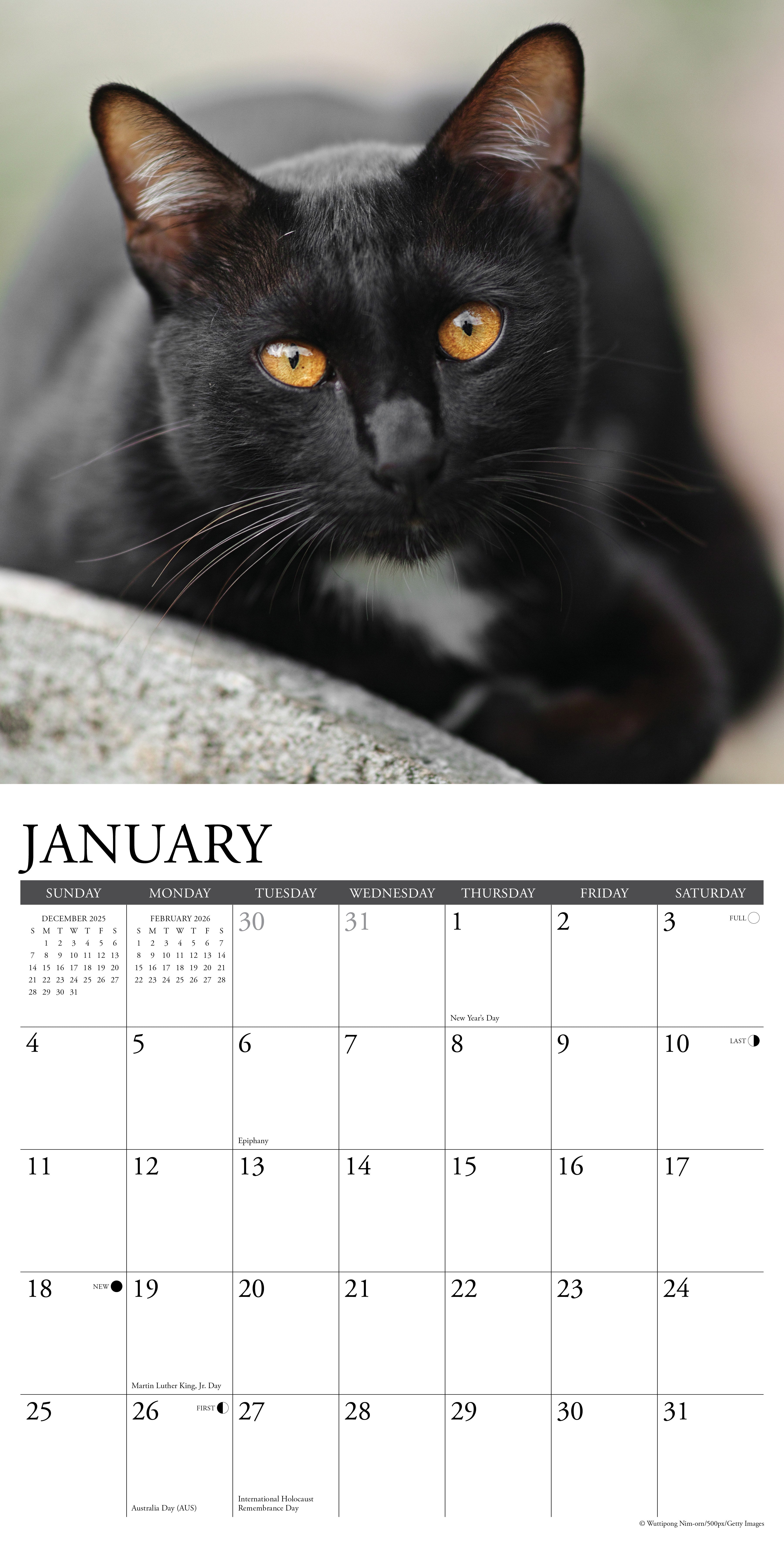 Black cat featured in January page of the 2026 Wall Calendar showcasing striking amber eyes and sleek fur.