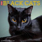Black Cats 12 x 12 2026 Wall Calendar featuring a stunning black cat with piercing eyes.