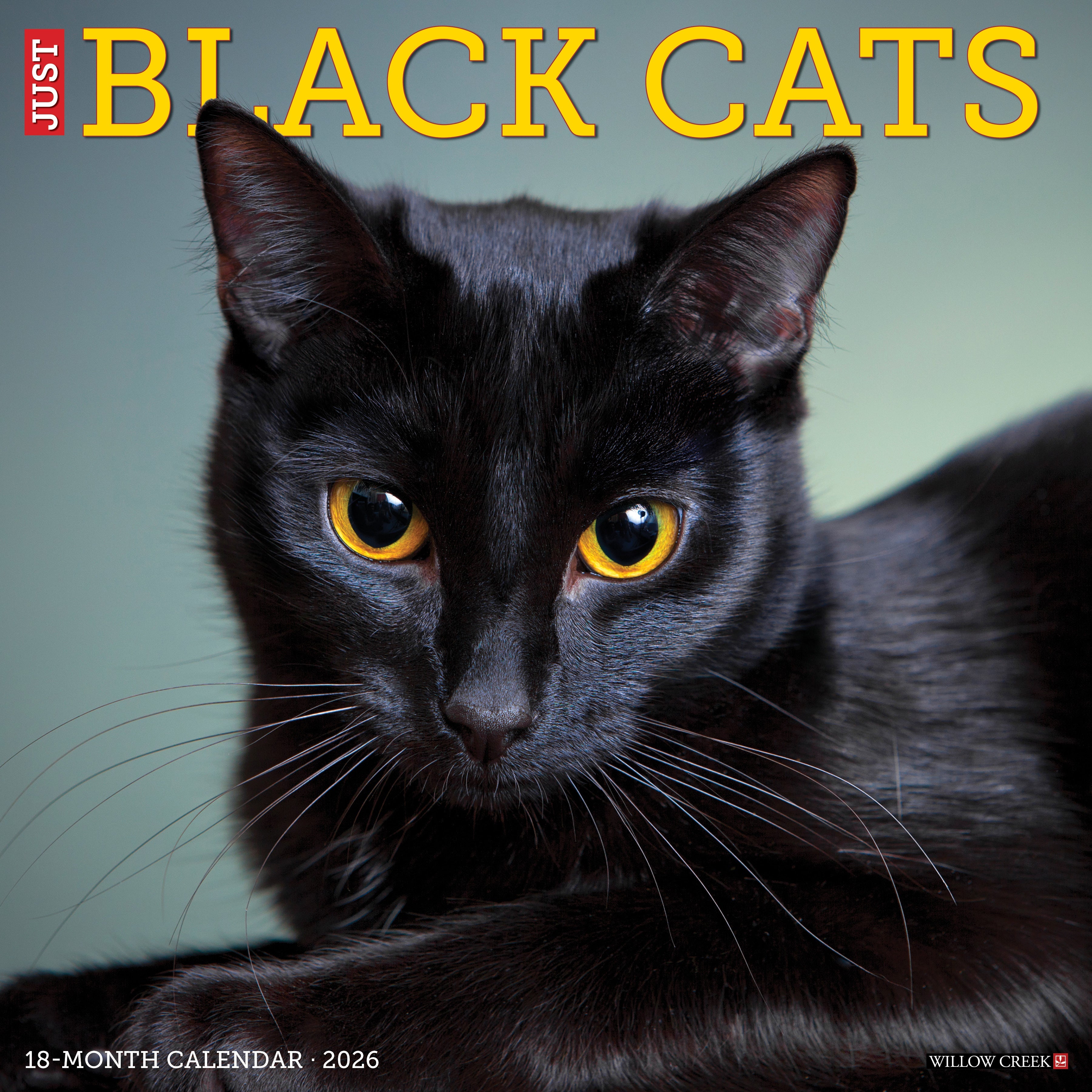 Black Cats 12 x 12 2026 Wall Calendar featuring a stunning black cat with piercing eyes.