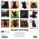2026 Wall Calendar featuring adorable black kittens with playful expressions and a charming design.