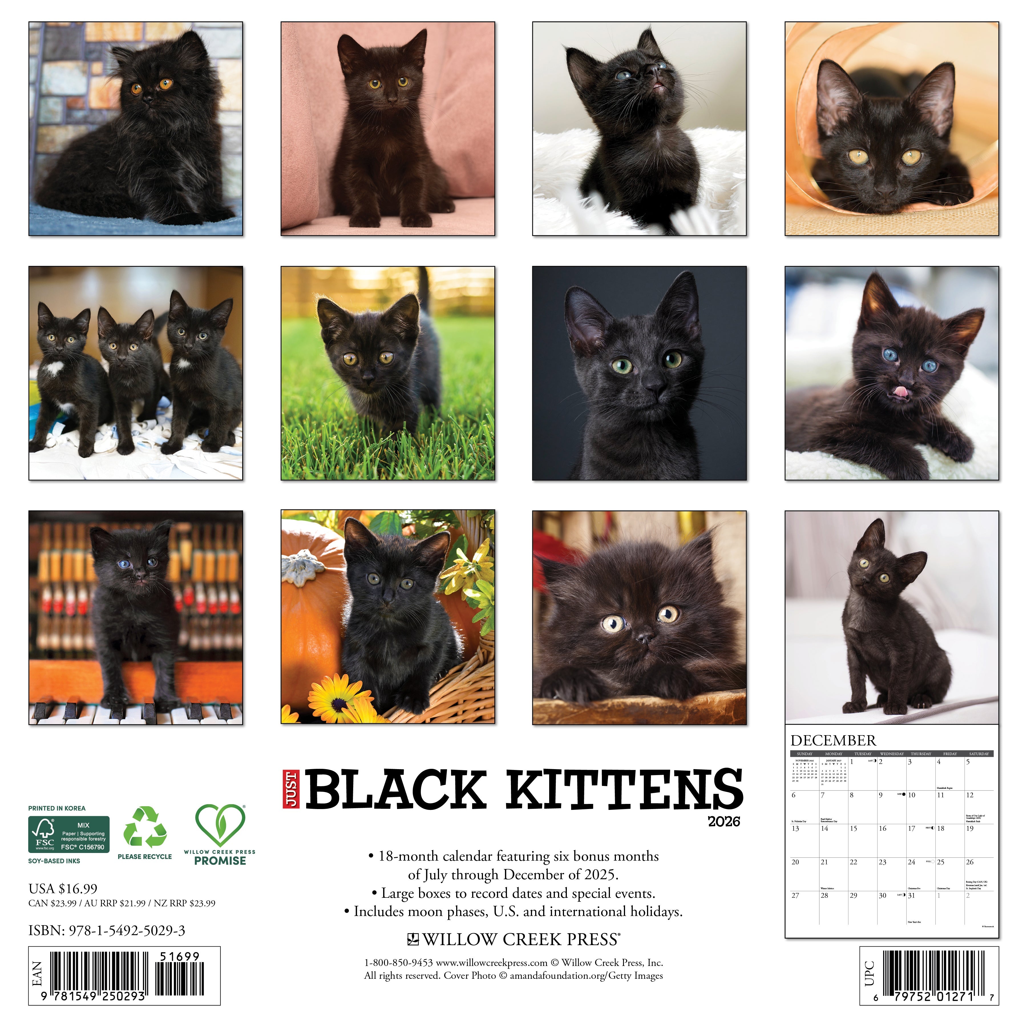 2026 Wall Calendar featuring adorable black kittens with playful expressions and a charming design.