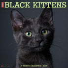 Black Kittens 12" x 12" 2026 Wall Calendar cover featuring an adorable black kitten with green eyes.