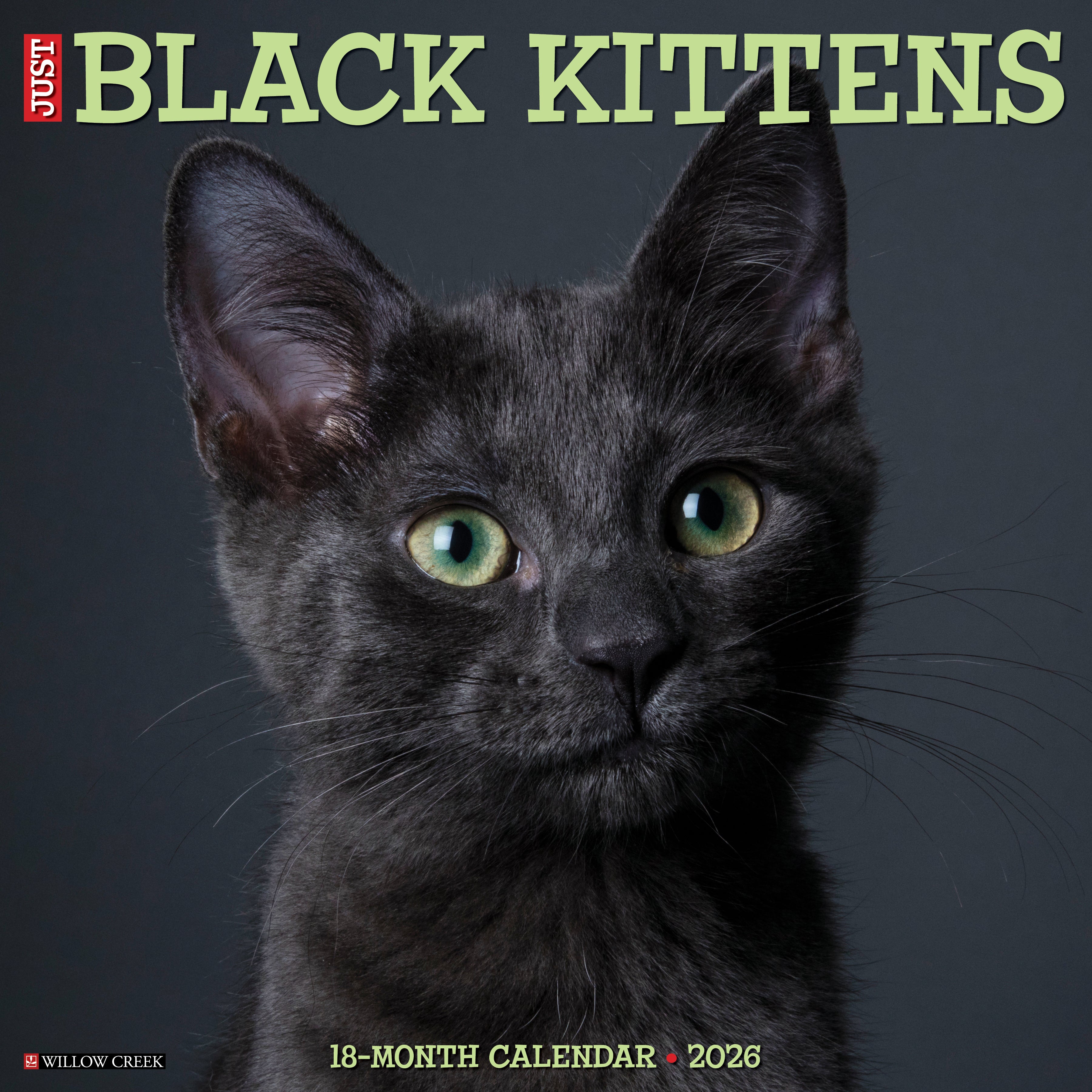Black Kittens 12" x 12" 2026 Wall Calendar cover featuring an adorable black kitten with green eyes.