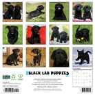 2026 Wall Calendar featuring adorable Black Lab puppies with playful poses for each month.