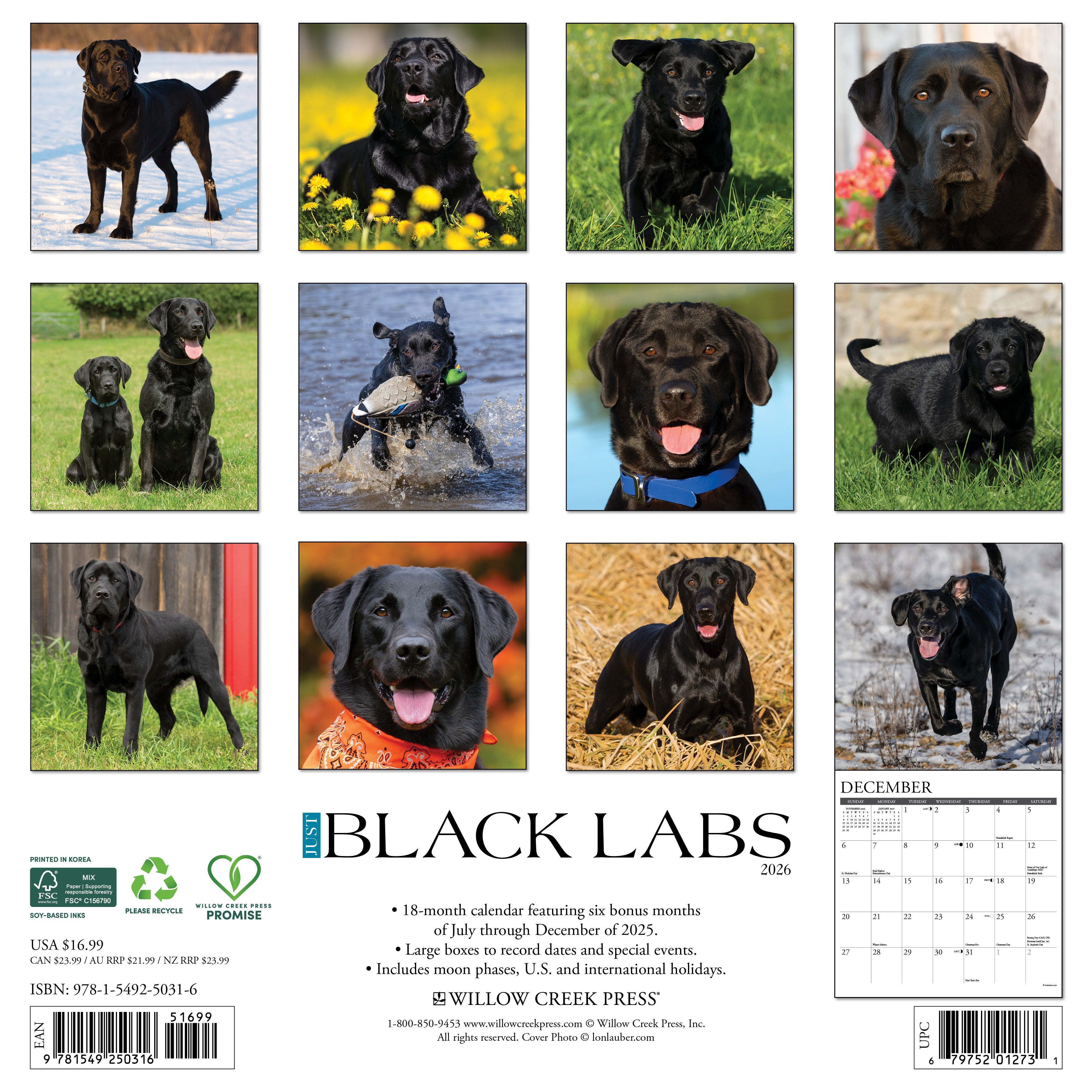 Dog lovers’ 2026 Wall Calendar – Black Labs edition with playful and loving dogs