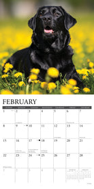 2026 Wall Calendar with large monthly date boxes, decorative images, and holidays, perfect for office or home organization and yearly planning