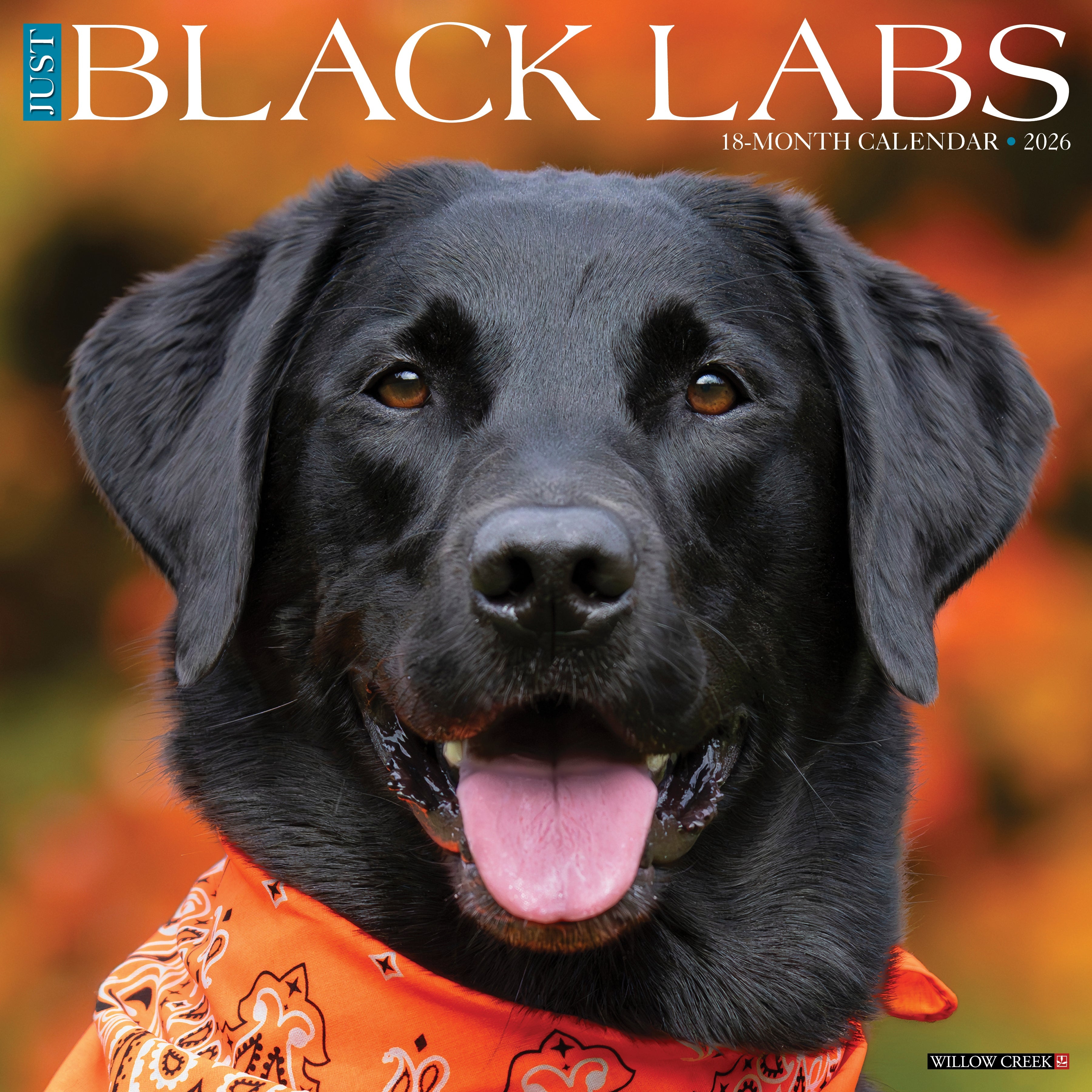 Black Labs 2026 Wall Calendar featuring loyal Labrador Retriever photography