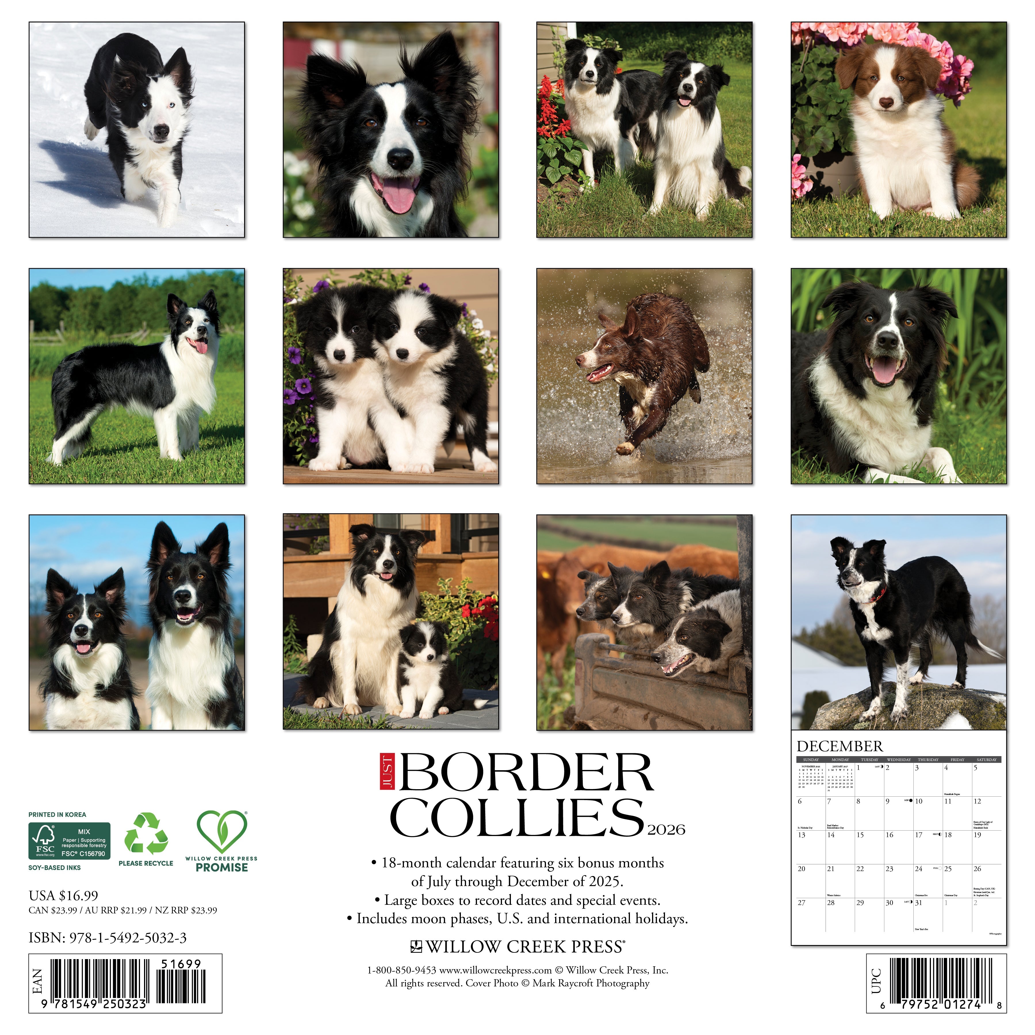 Dog lovers’ 2026 Wall Calendar – Border Collies edition with playful herding dog photos