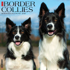 Border Collies 2026 Wall Calendar featuring energetic and intelligent dogs