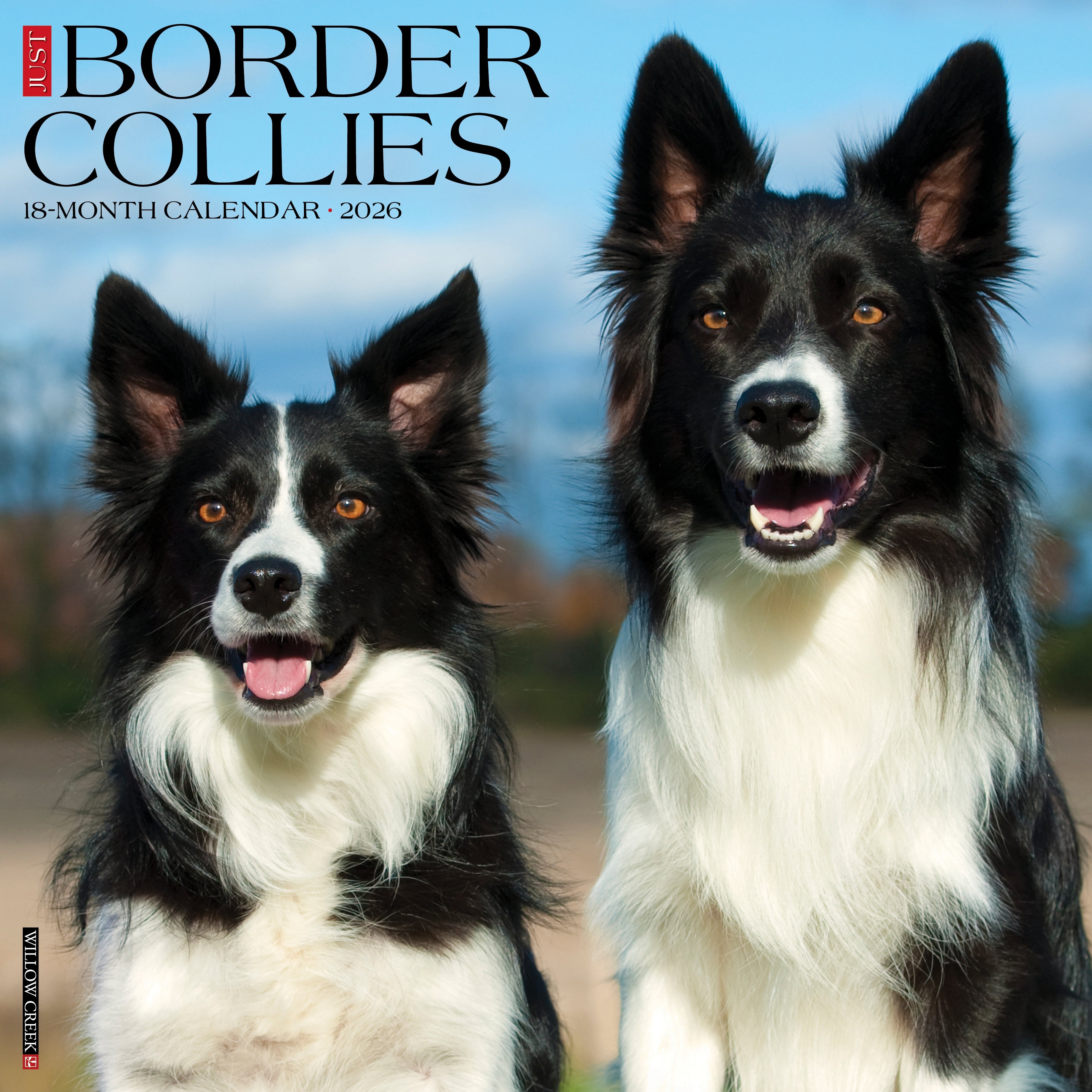 Border Collies 2026 Wall Calendar featuring energetic and intelligent dogs