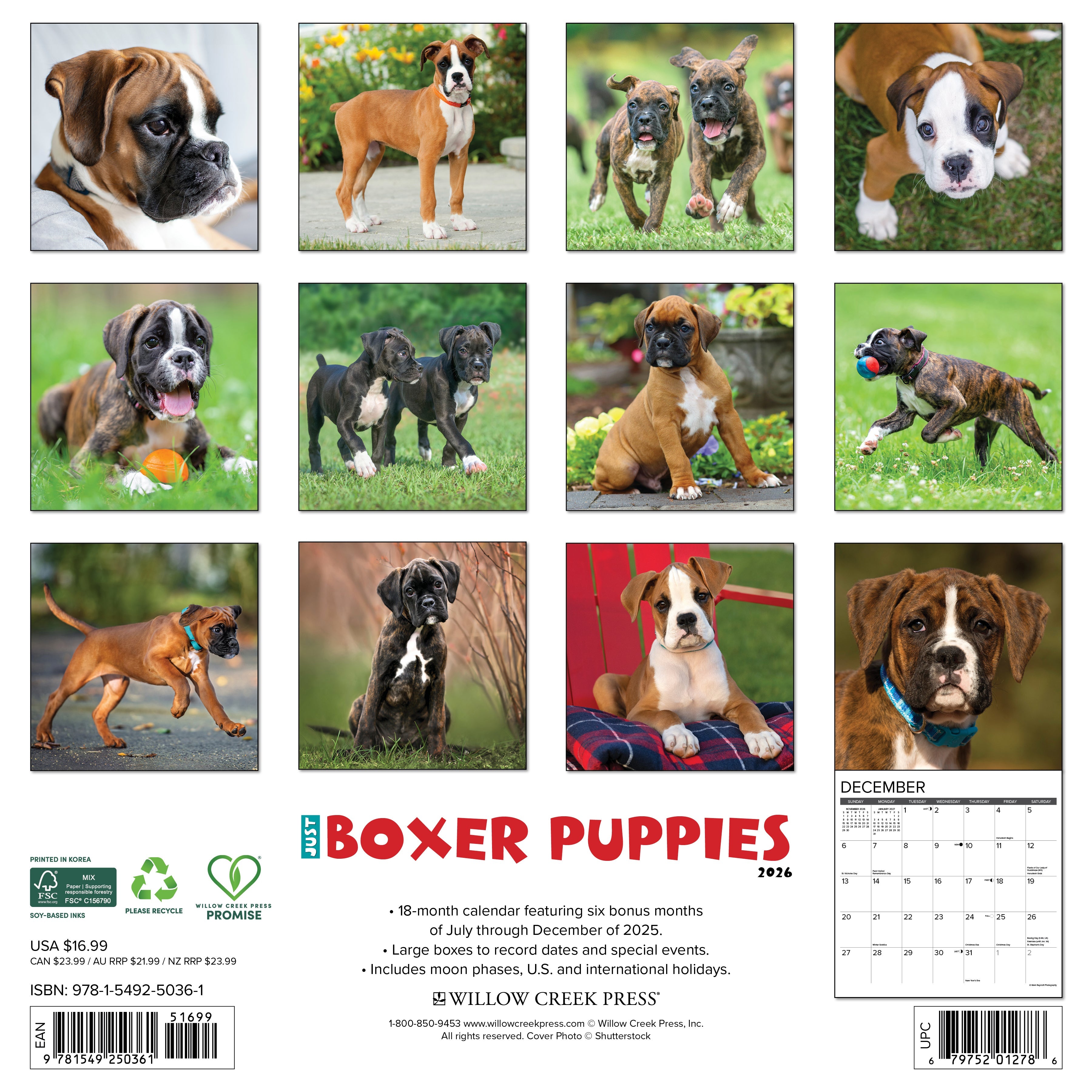 Dog lovers’ 2026 Wall Calendar – Boxer Puppies edition with cute and energetic pups