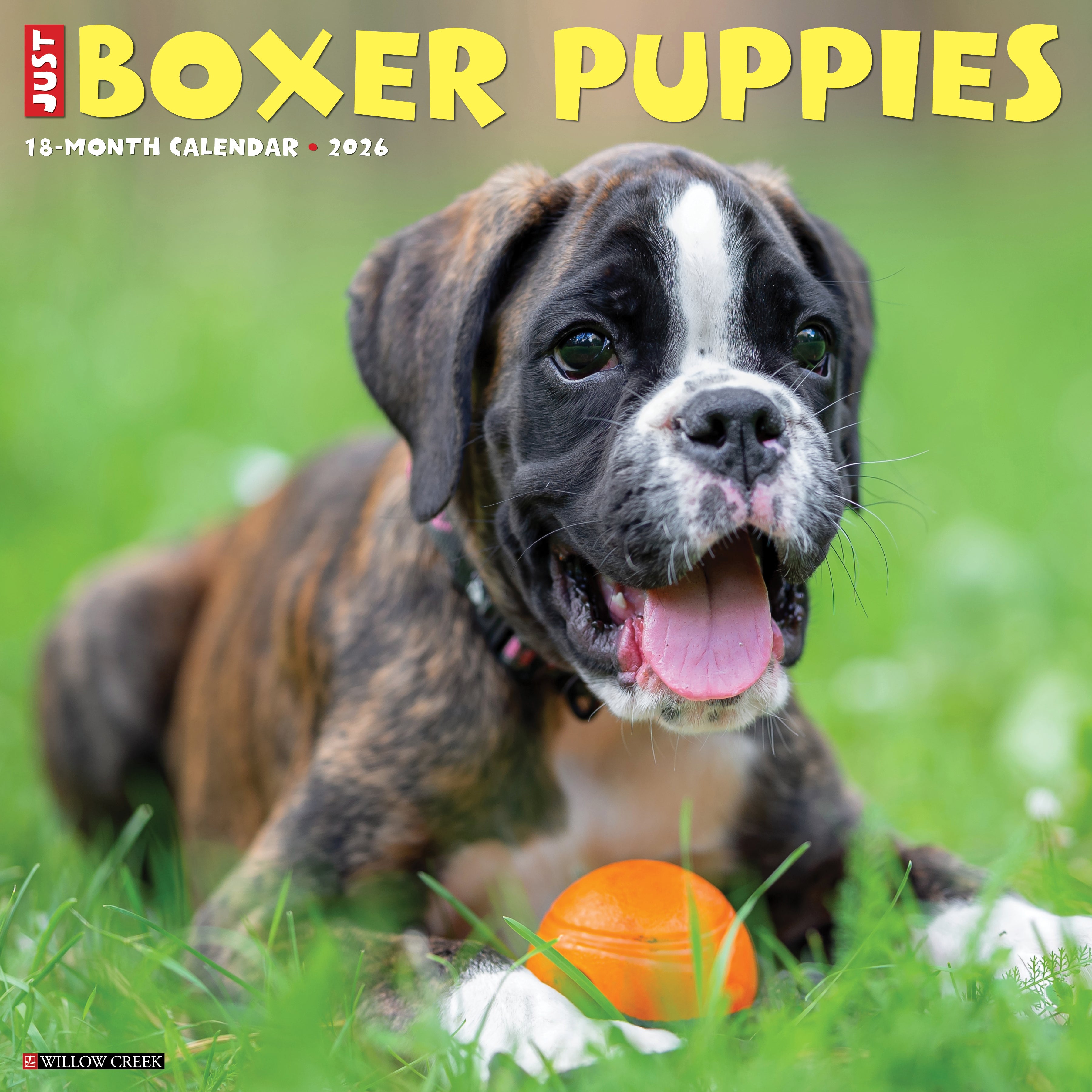 Boxer Puppies 2026 Wall Calendar featuring adorable playful puppy photography
