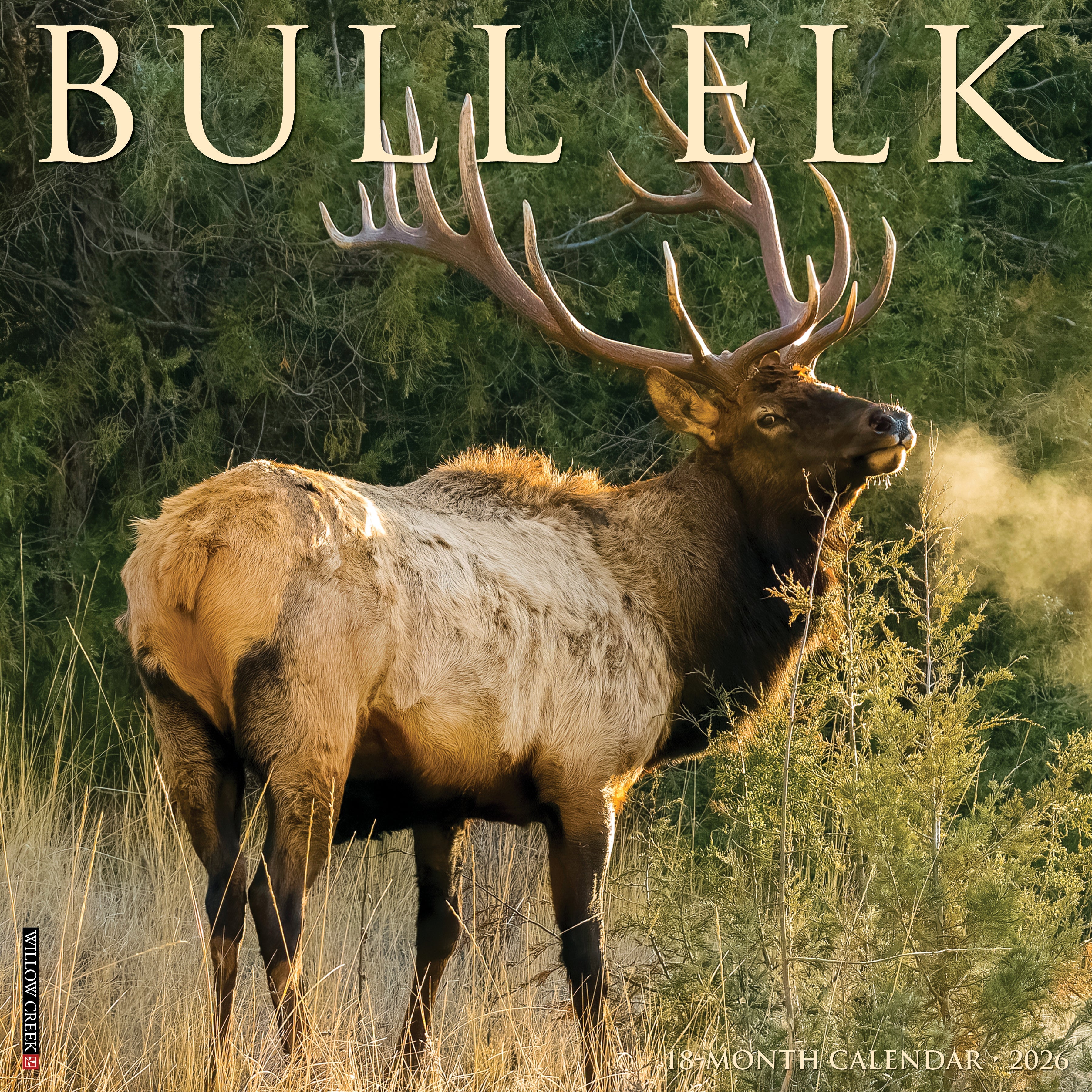 Bull Elk 2026 Wall Calendar featuring majestic elk photography in nature