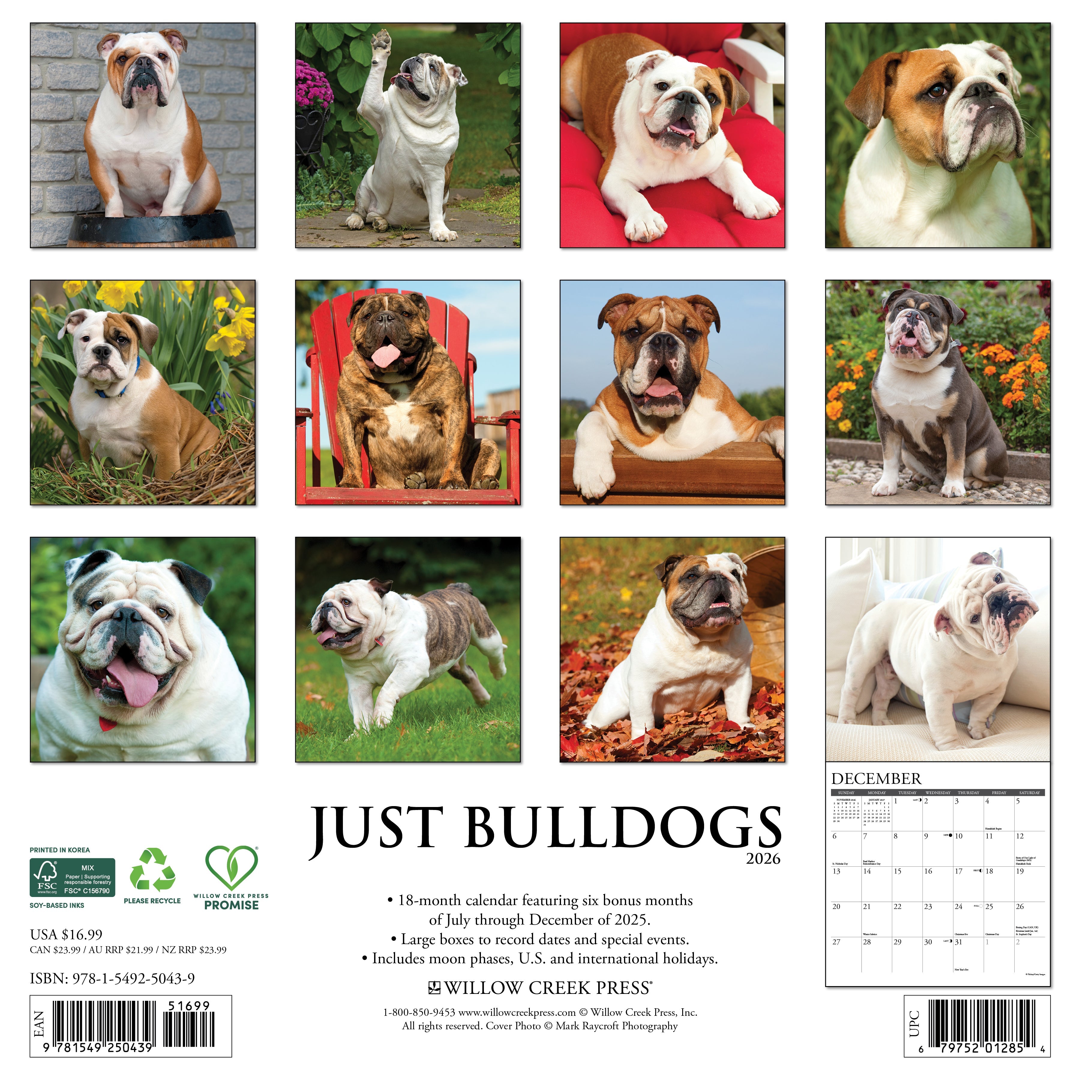 Dog lovers’ 2026 Wall Calendar – Bulldogs edition with playful and protective dogs