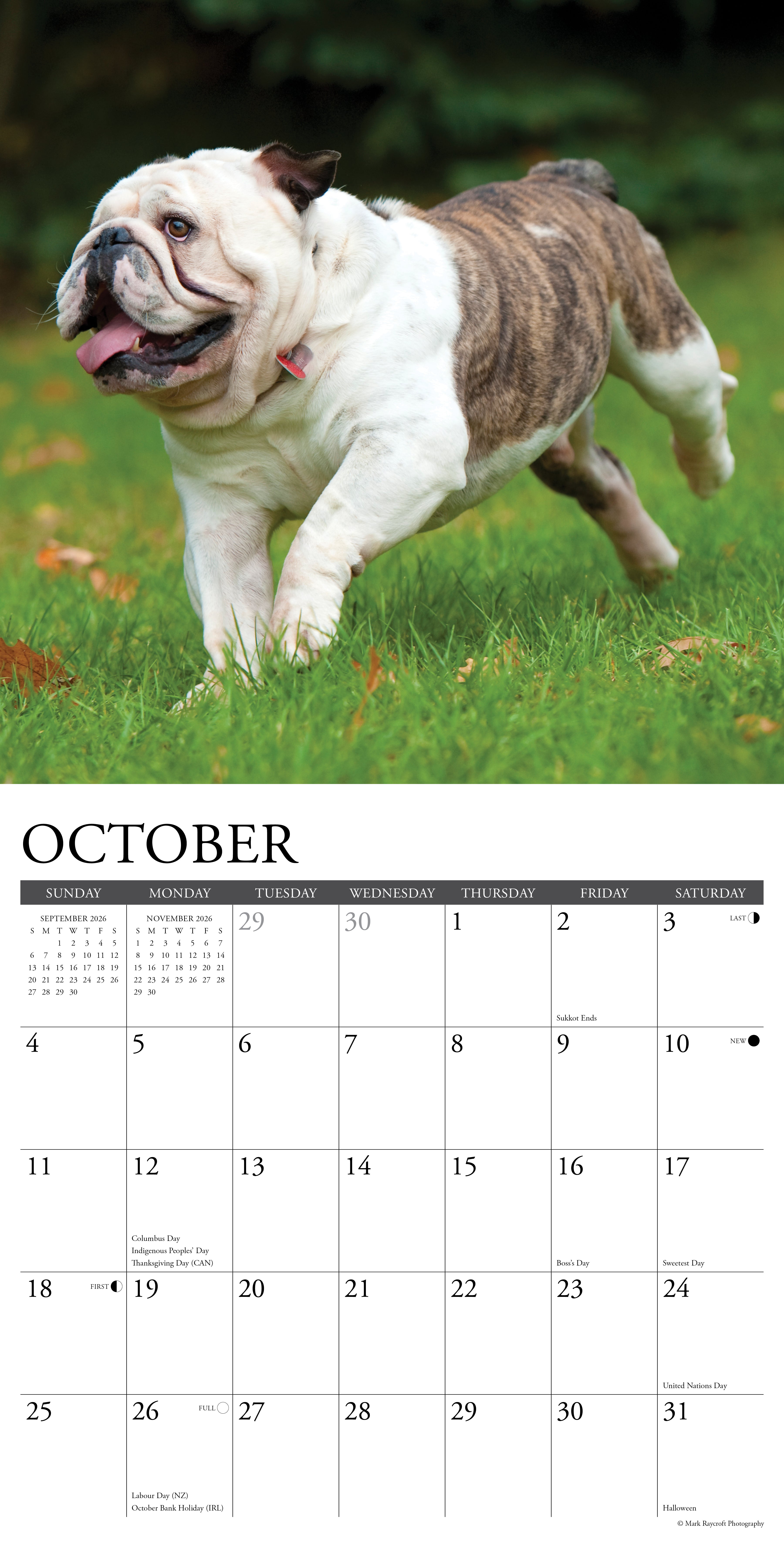 2026 Wall Calendar with large monthly date boxes, decorative images, and holidays, perfect for office or home organization and yearly planning