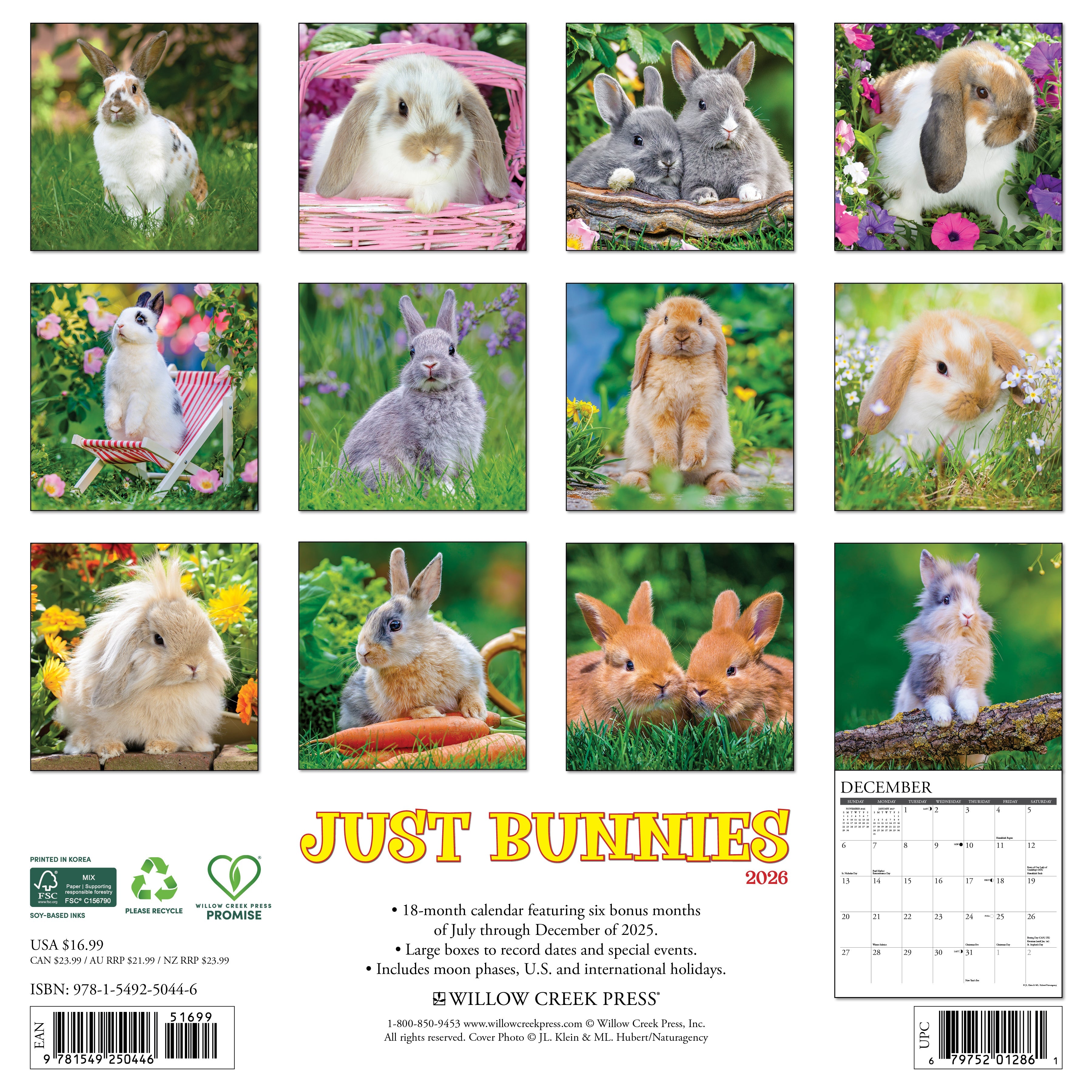 Animal lovers’ 2026 Wall Calendar – Bunnies edition with cute and charming rabbit images