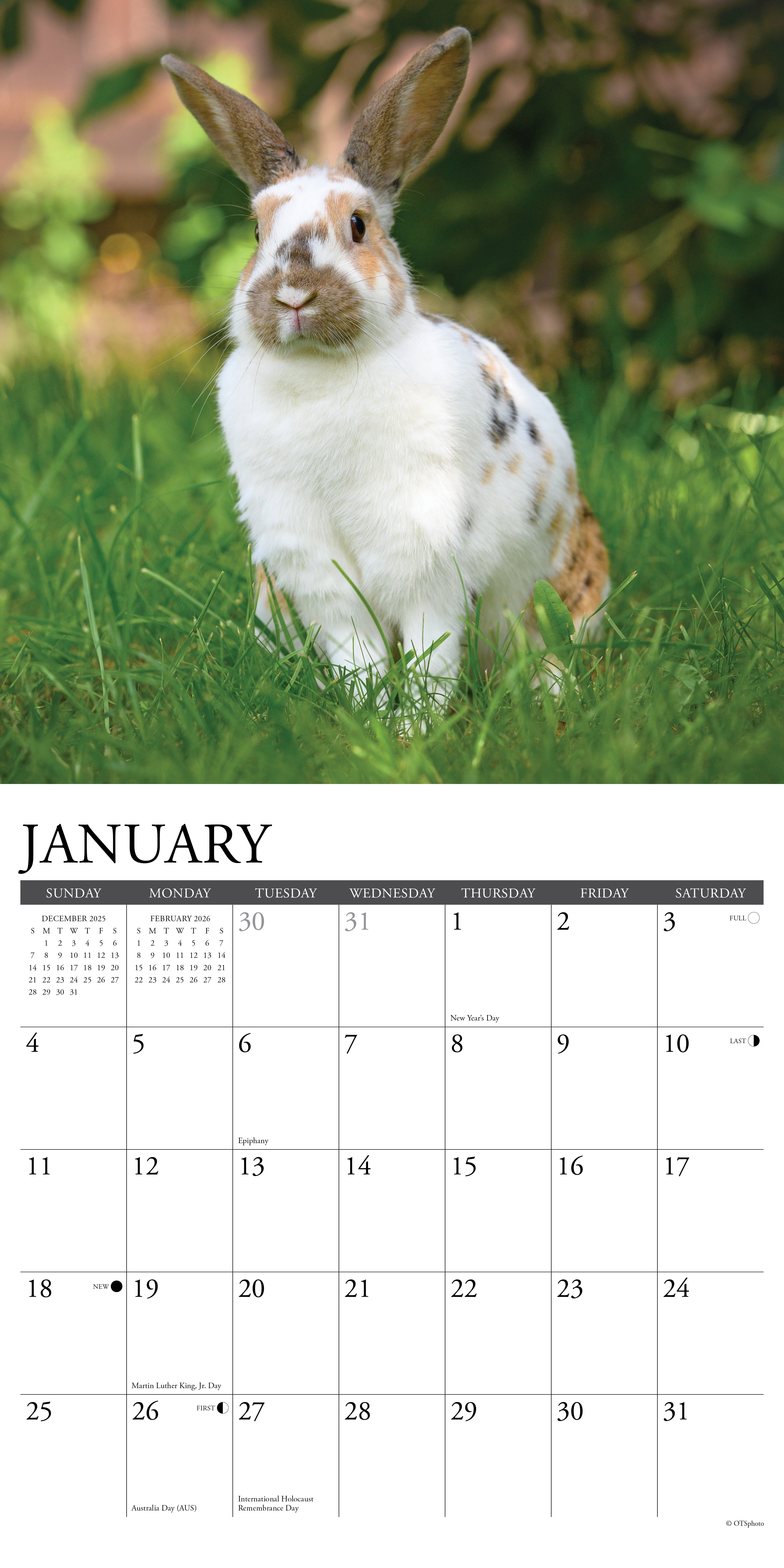 2026 Wall Calendar with large monthly date boxes, decorative images, and holidays, perfect for office or home organization and yearly planning