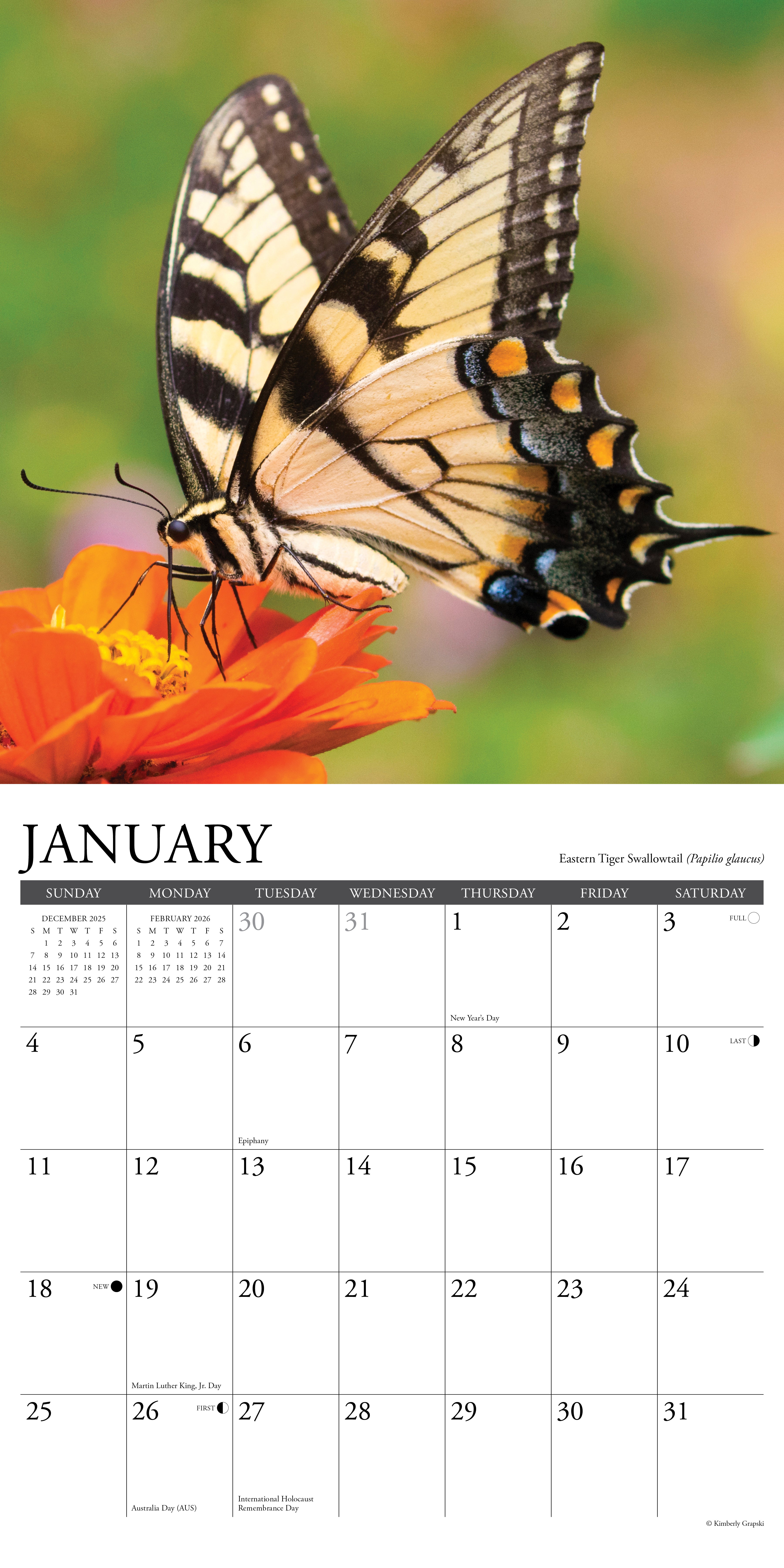 2026 Wall Calendar with large monthly date boxes, decorative images, and holidays, perfect for office or home organization and yearly planning