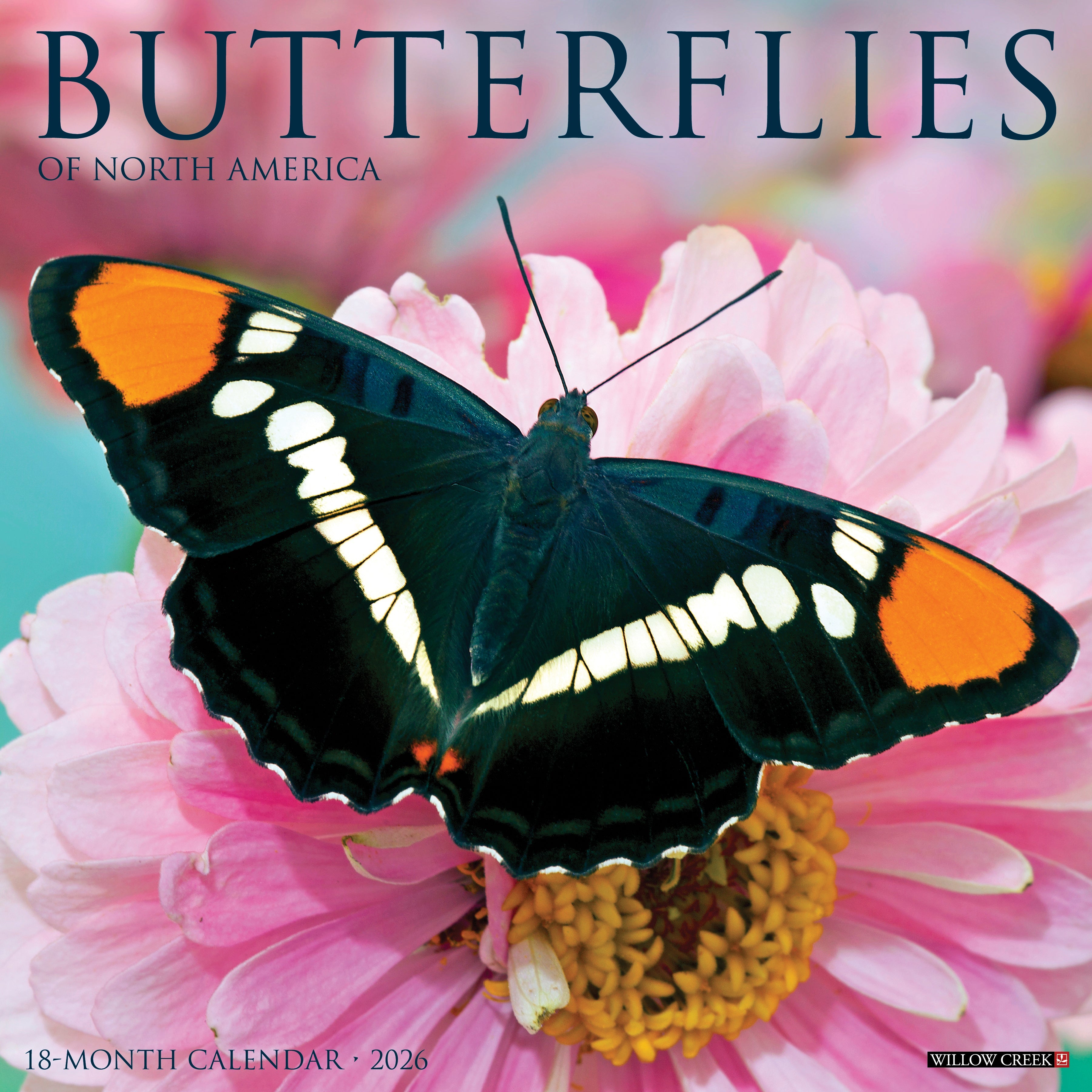 Butterflies 2026 Wall Calendar featuring colorful and vibrant butterfly photography