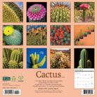 Nature-themed 2026 Wall Calendar – Cactus edition with detailed succulent and desert images