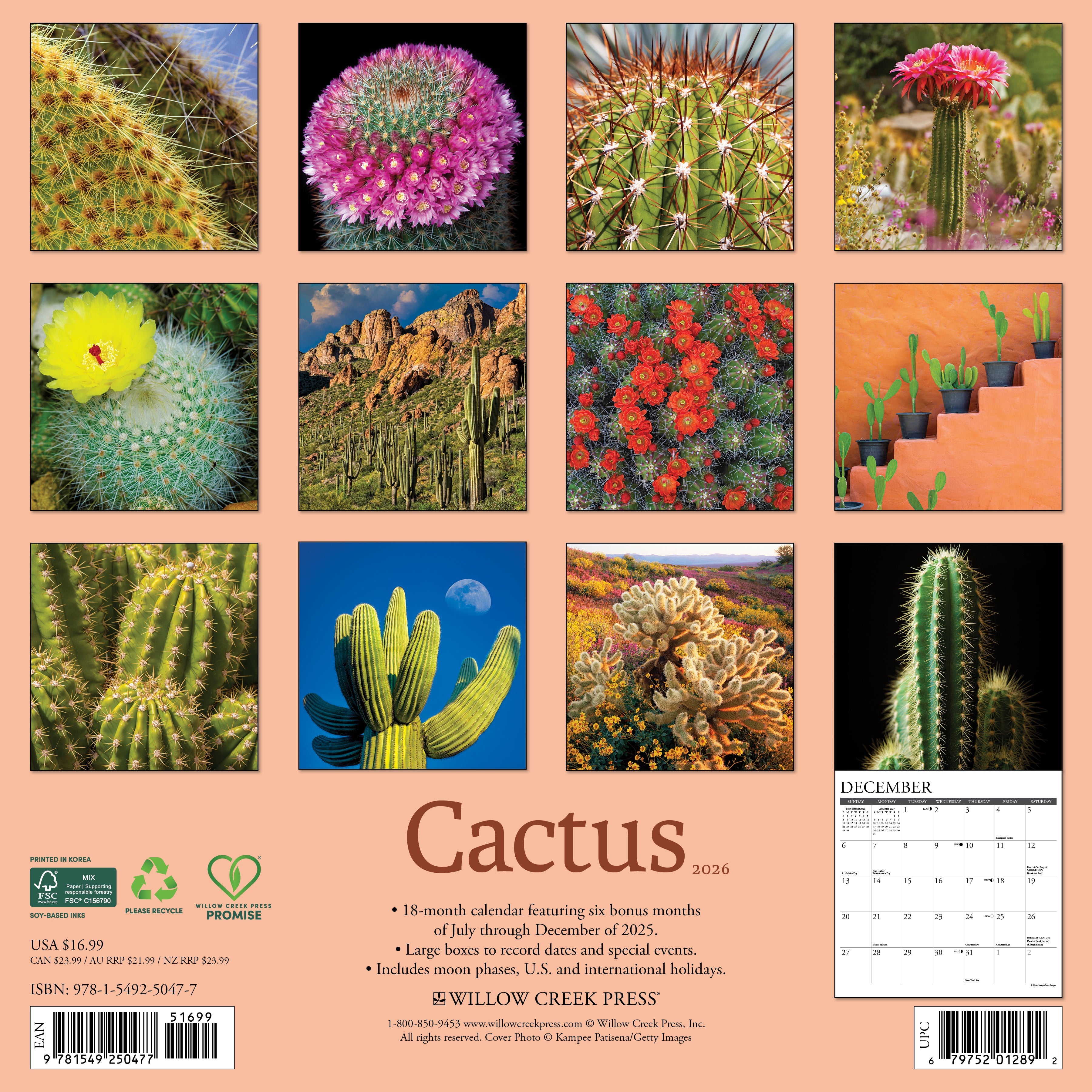Nature-themed 2026 Wall Calendar – Cactus edition with detailed succulent and desert images