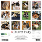 Cat lovers’ 2026 Wall Calendar – Calico Cats edition with playful and charming feline images