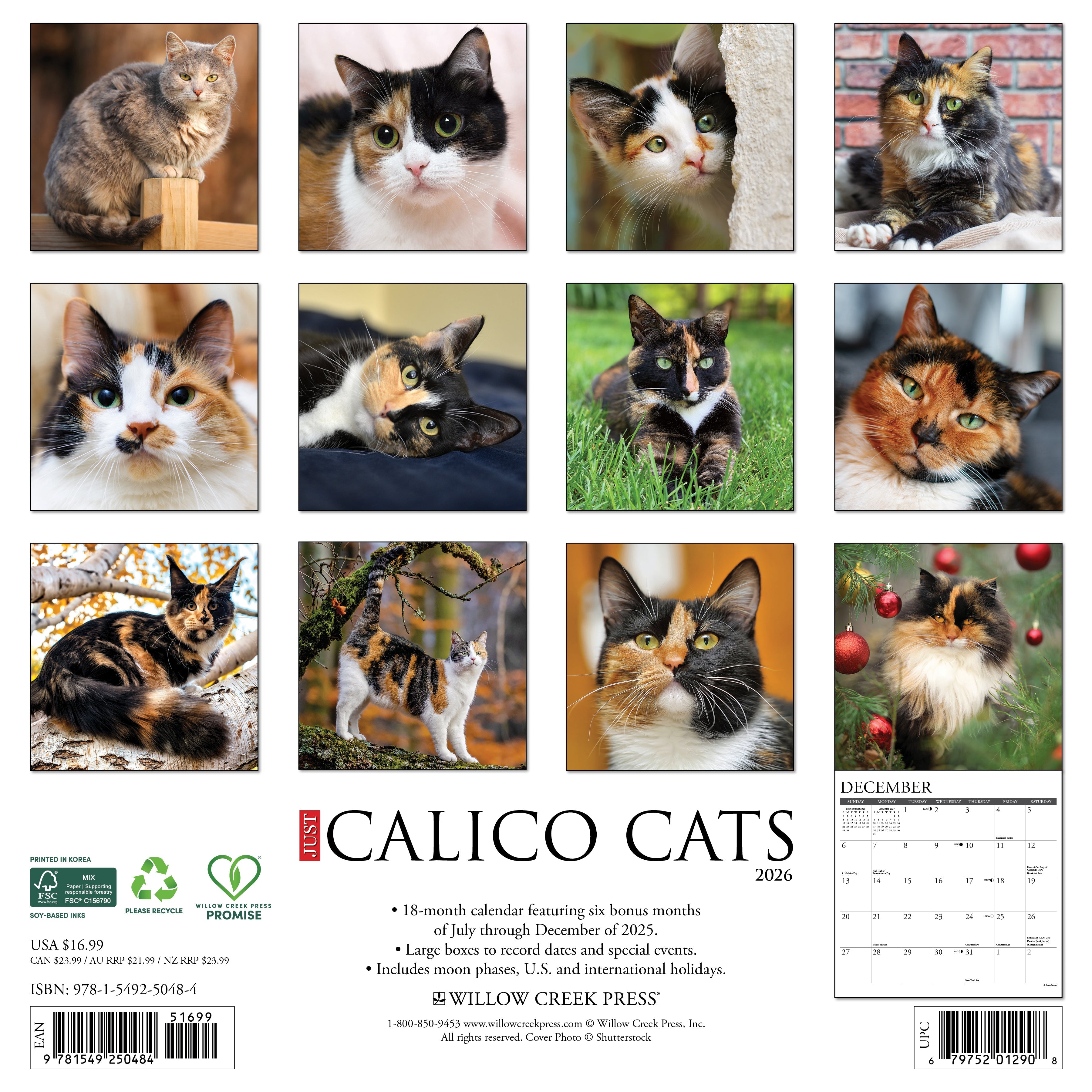 Cat lovers’ 2026 Wall Calendar – Calico Cats edition with playful and charming feline images