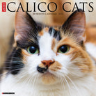 Calico Cats 2026 Wall Calendar featuring adorable and colorful calico cat photography