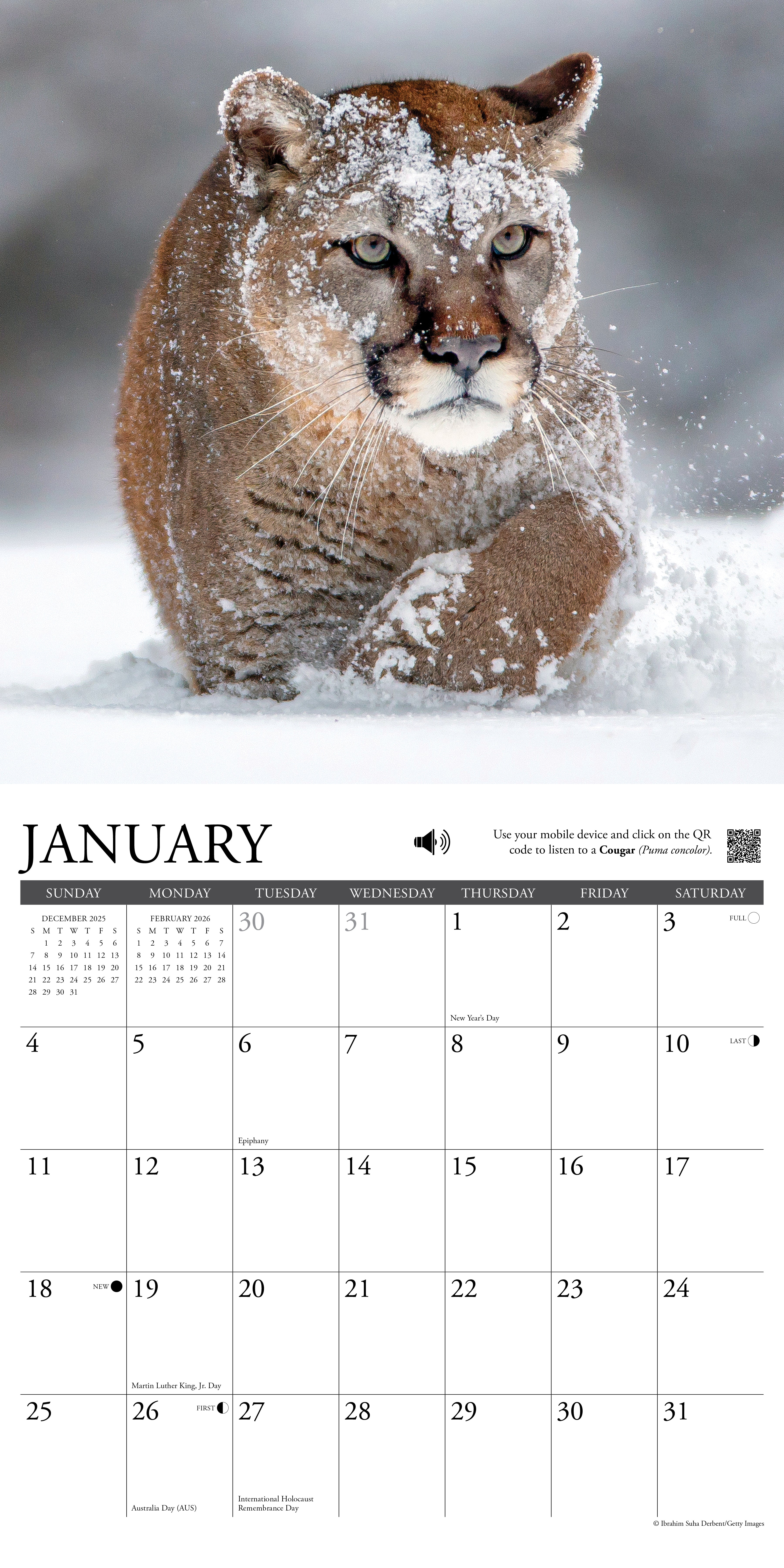 2026 Wall Calendar with large monthly date boxes, decorative images, and holidays, perfect for office or home organization and yearly planning