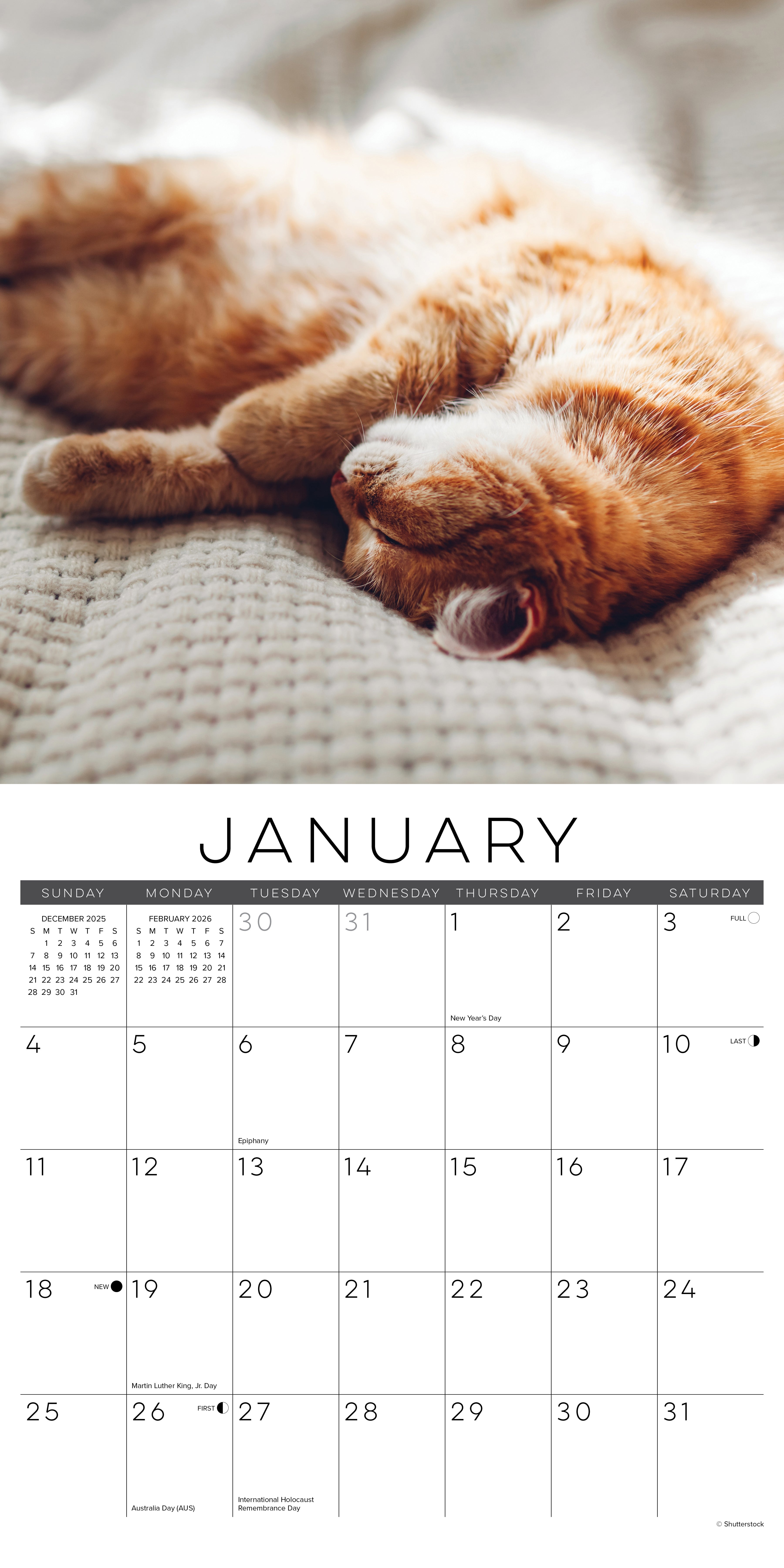 Naptime: A Cat's Favorite Pastime 12" x 12" 2026 Wall Calendar with large grids for notes and appointments