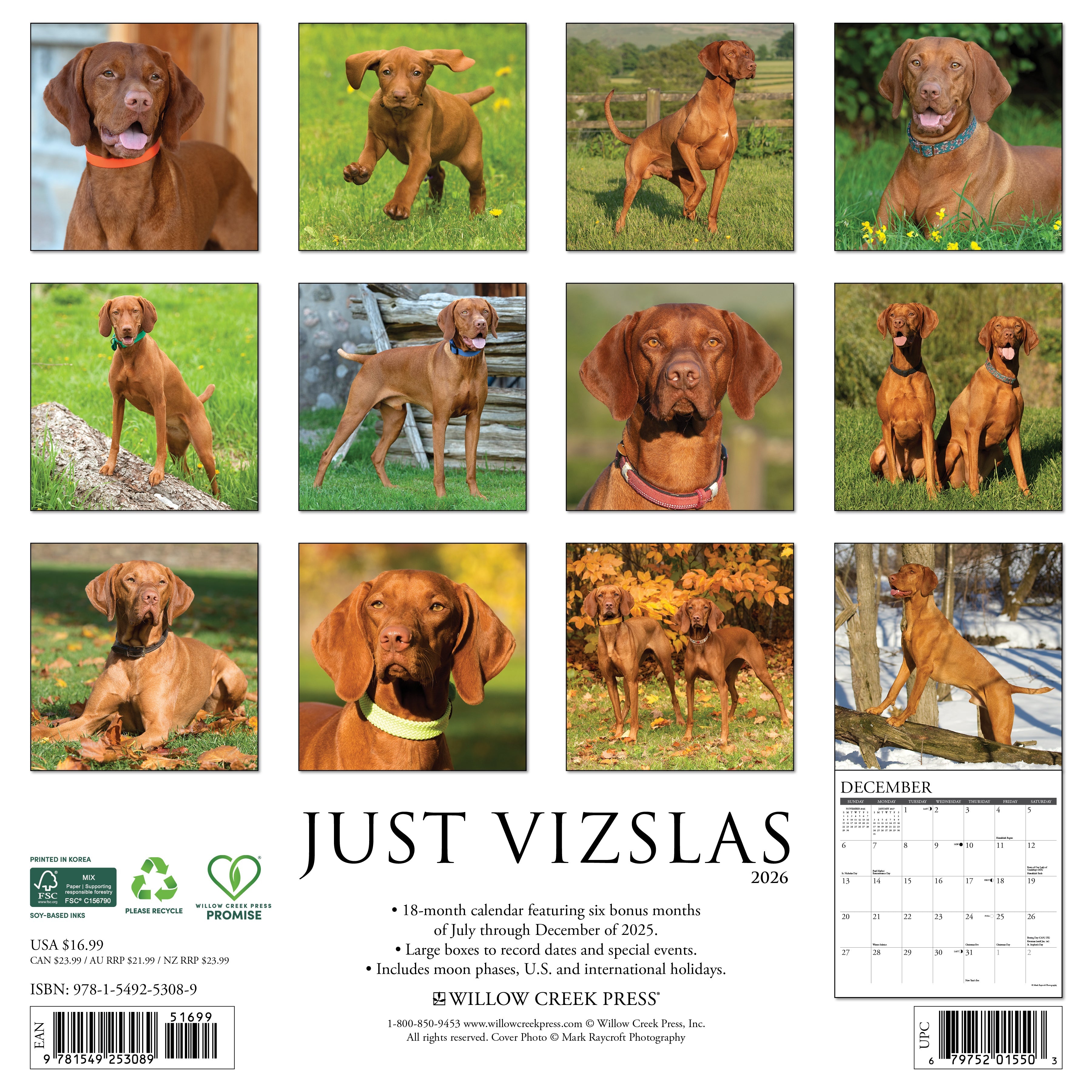 Dog lovers’ 2026 Wall Calendar – Vizslas edition with playful and loyal Vizsla images
