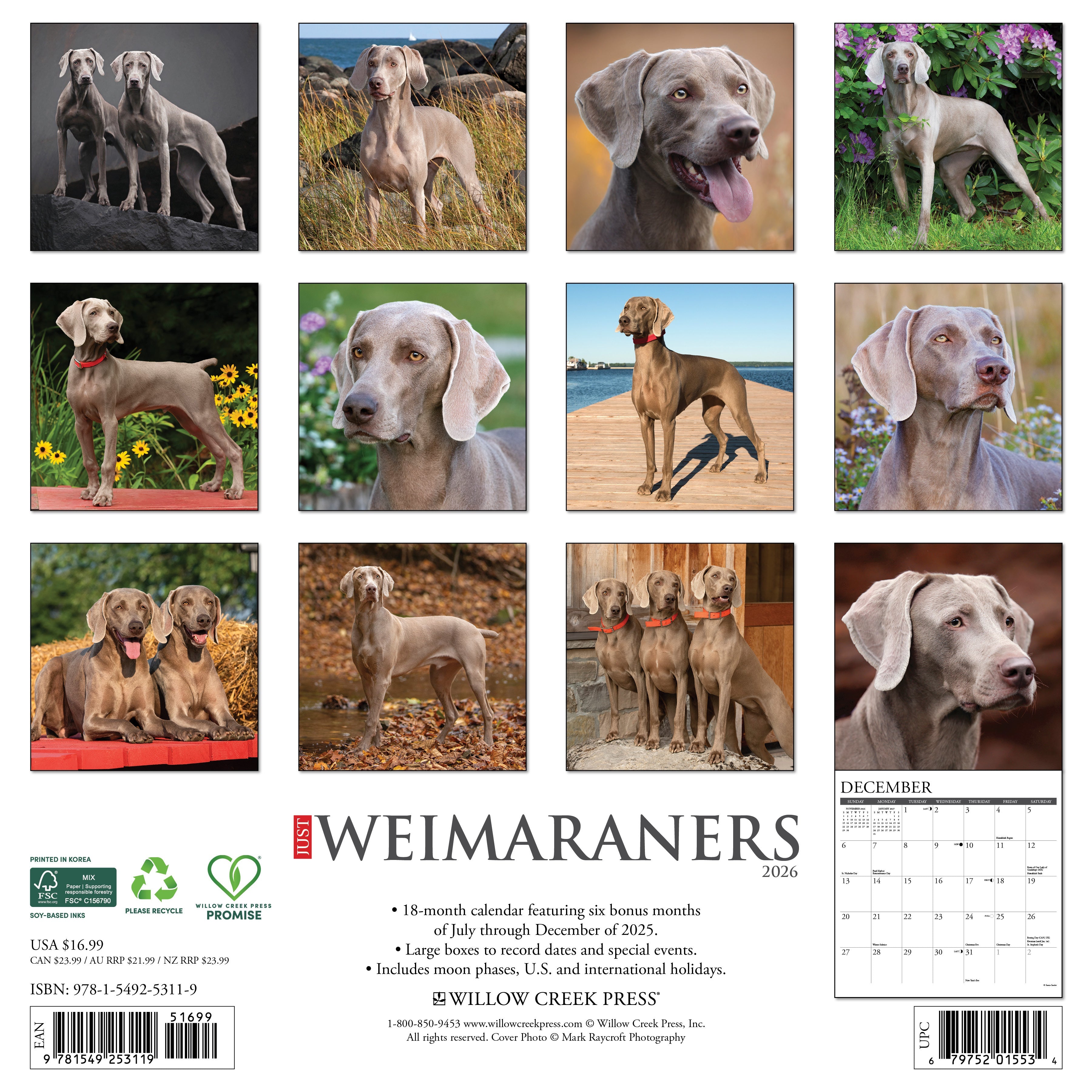 Dog lovers’ 2026 Wall Calendar – Weimaraners edition with playful and loyal dog images