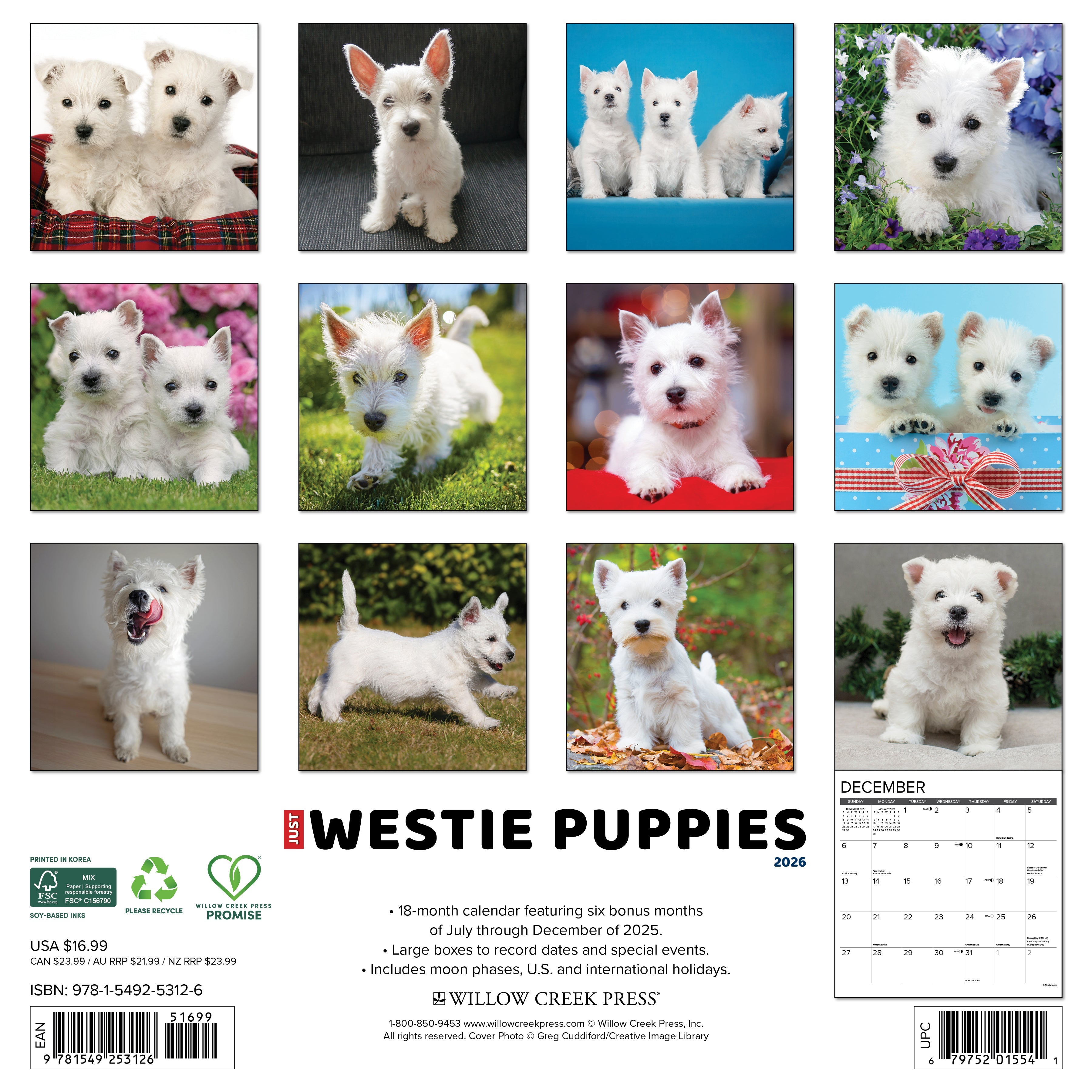Dog lovers’ 2026 Wall Calendar – Westie Puppies edition with cute and playful puppy images