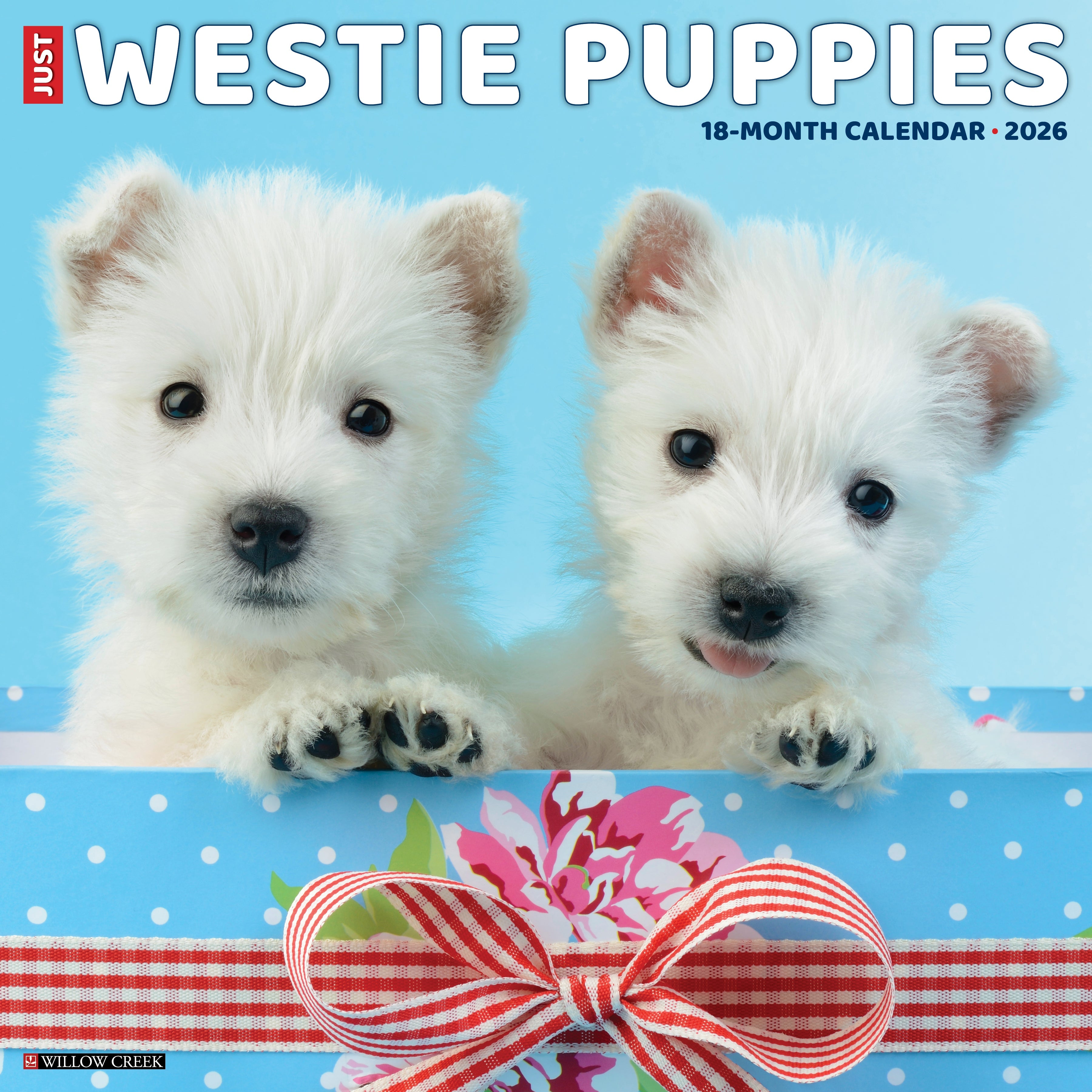 Westie Puppies 2026 Wall Calendar featuring adorable West Highland White Terrier puppies