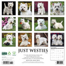 Dog lovers’ 2026 Wall Calendar – Westies edition with playful and charming dog images