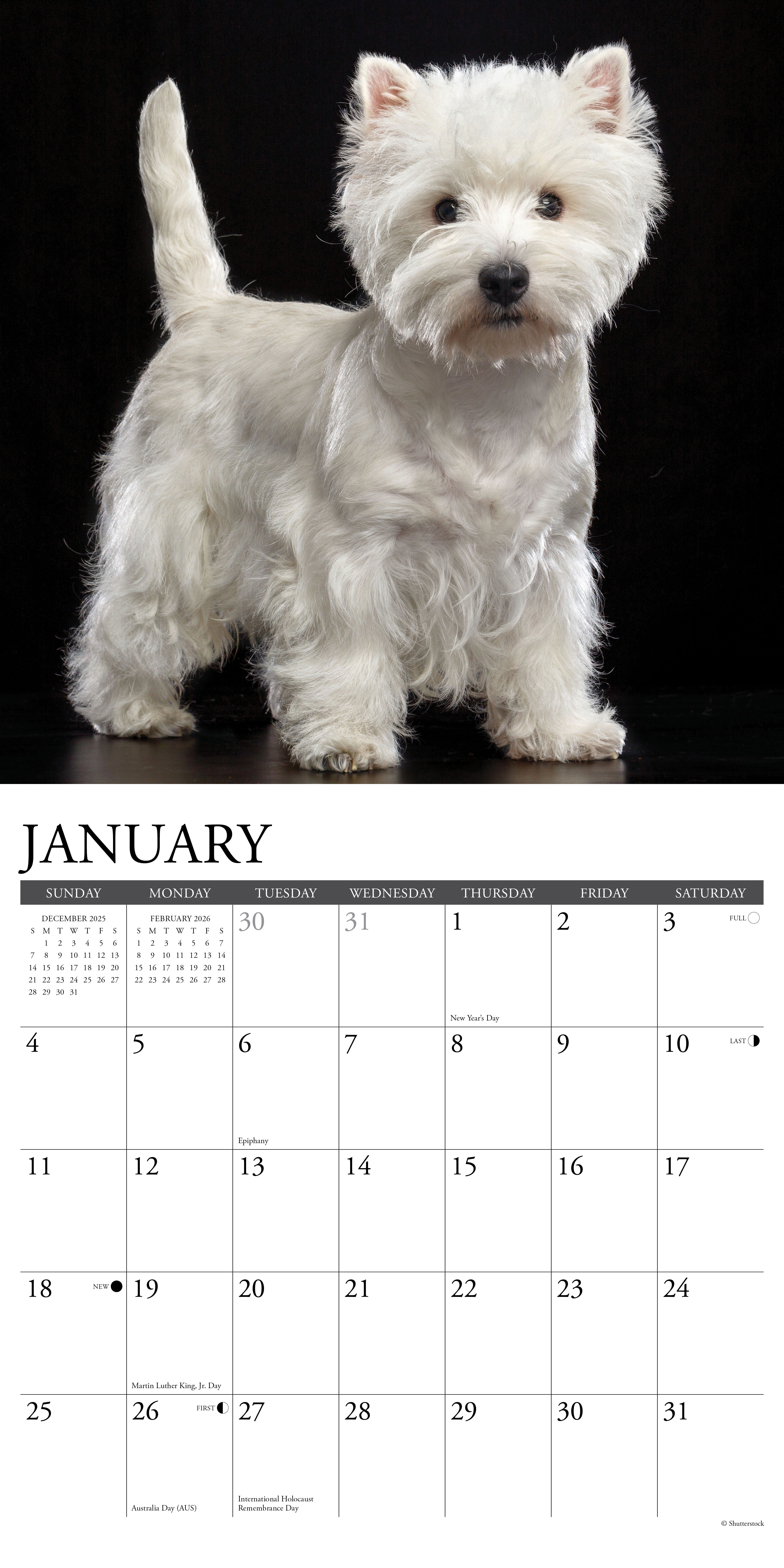 2026 Wall Calendar with large monthly date boxes, decorative images, and holidays, perfect for office or home organization and yearly planning