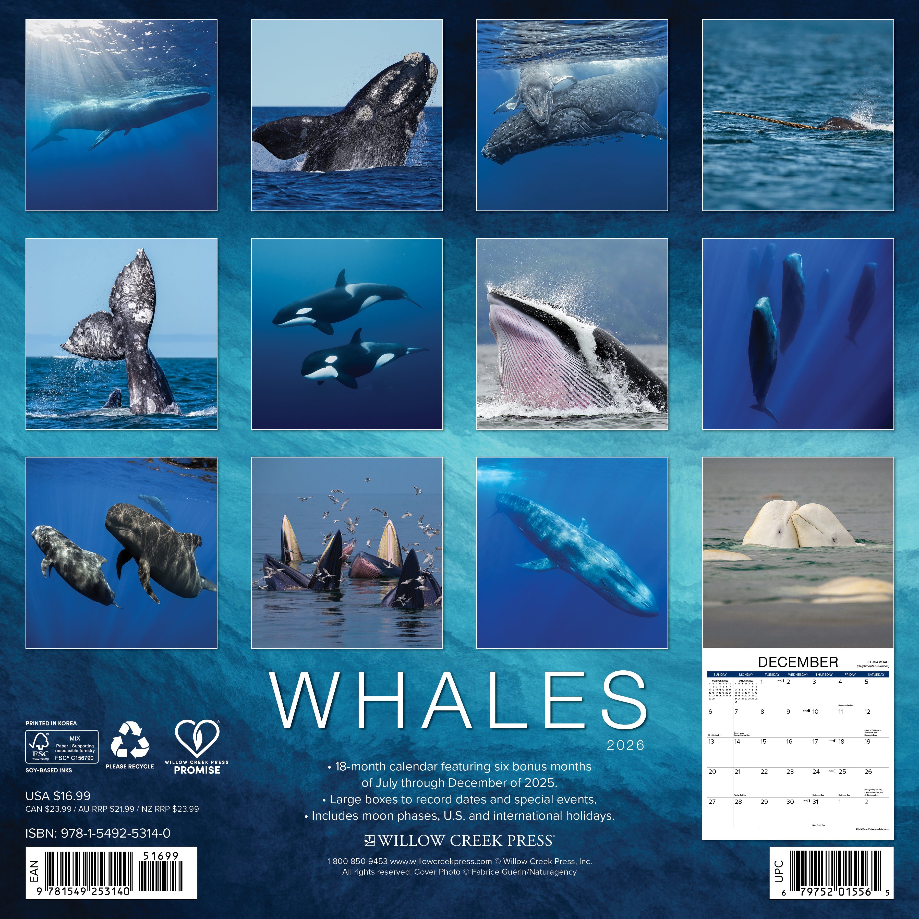 Whales 12" x 12" 2026 Wall Calendar featuring stunning images of marine life from July to December 2025.