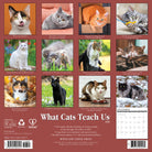 Cat lovers’ 2026 Wall Calendar – What Cats Teach Us edition with life lessons and cute feline images