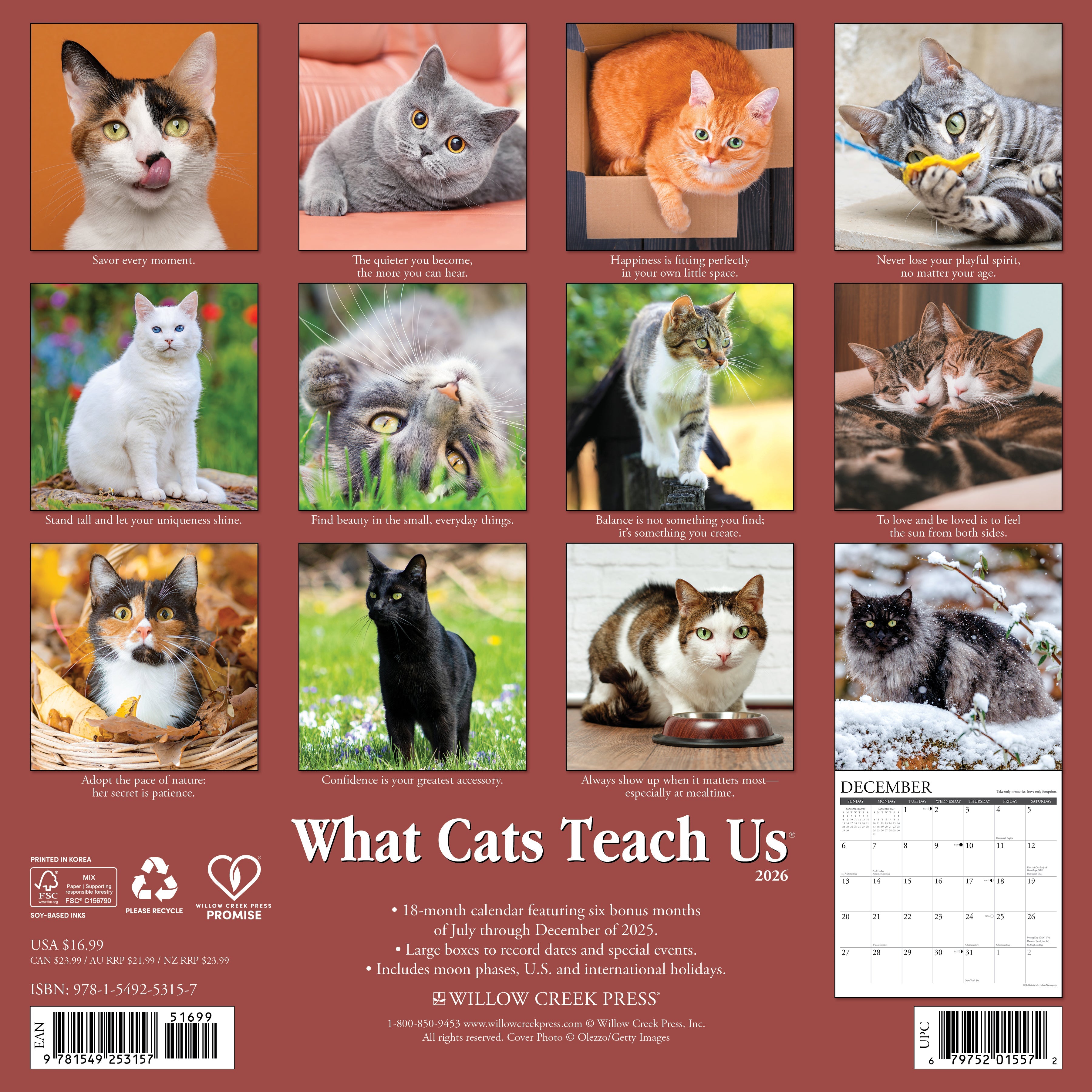 Cat lovers’ 2026 Wall Calendar – What Cats Teach Us edition with life lessons and cute feline images