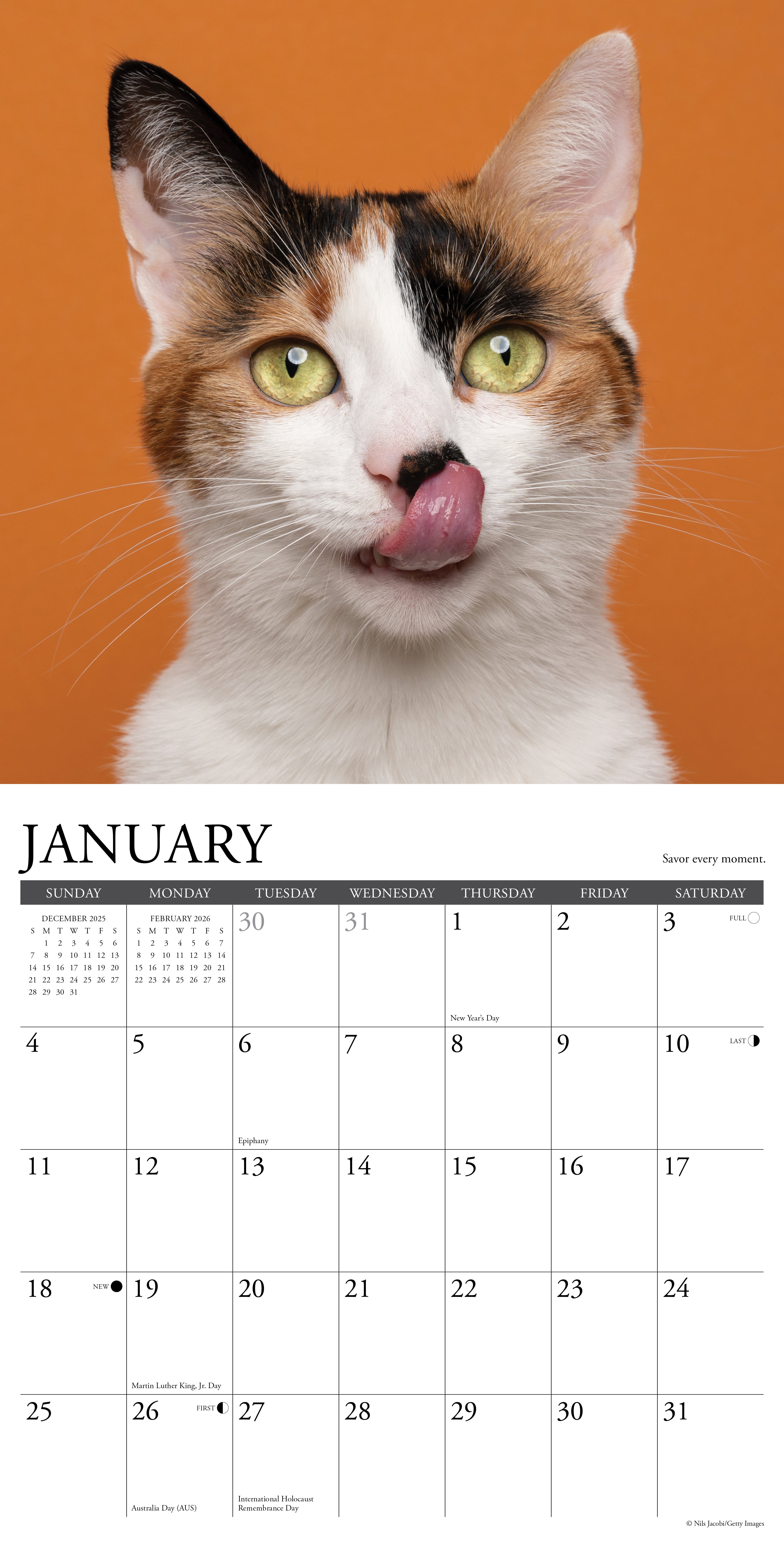 2026 Wall Calendar with large monthly date boxes, decorative images, and holidays, perfect for office or home organization and yearly planning