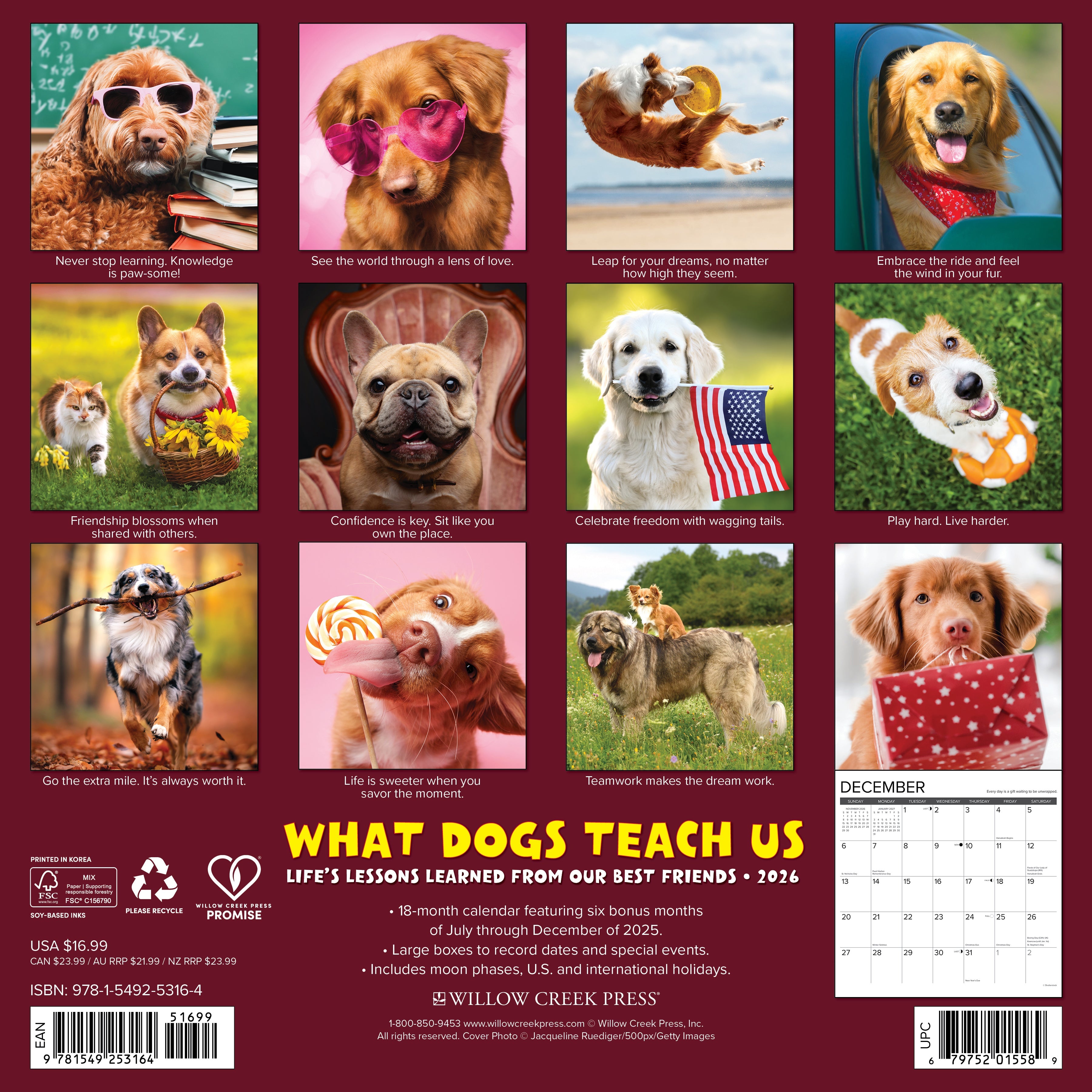 Dog lovers’ 2026 Wall Calendar – What Dogs Teach Us edition with motivational quotes and canine photography