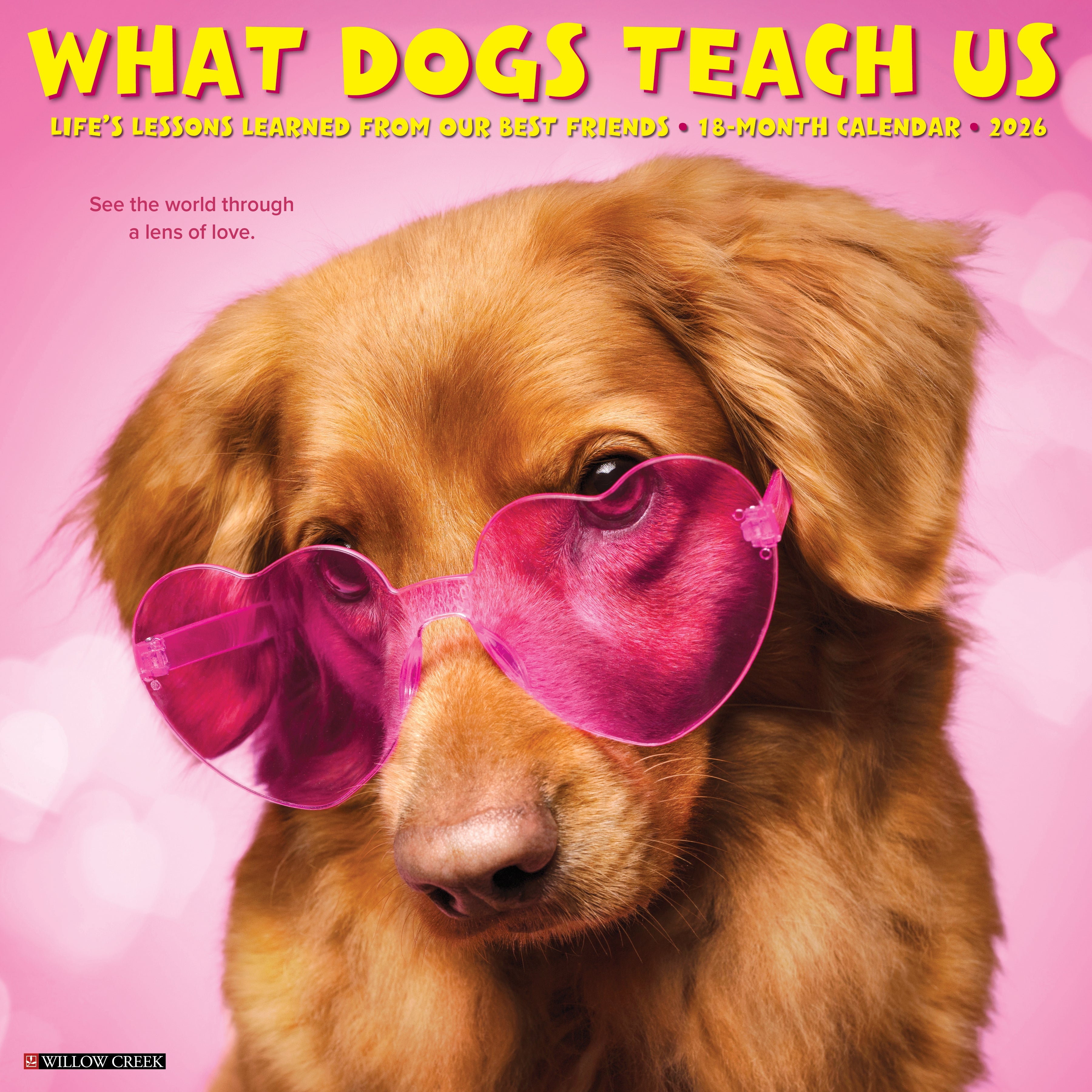 What Dogs Teach Us 2026 Wall Calendar featuring heartwarming dog photos and inspiring lessons