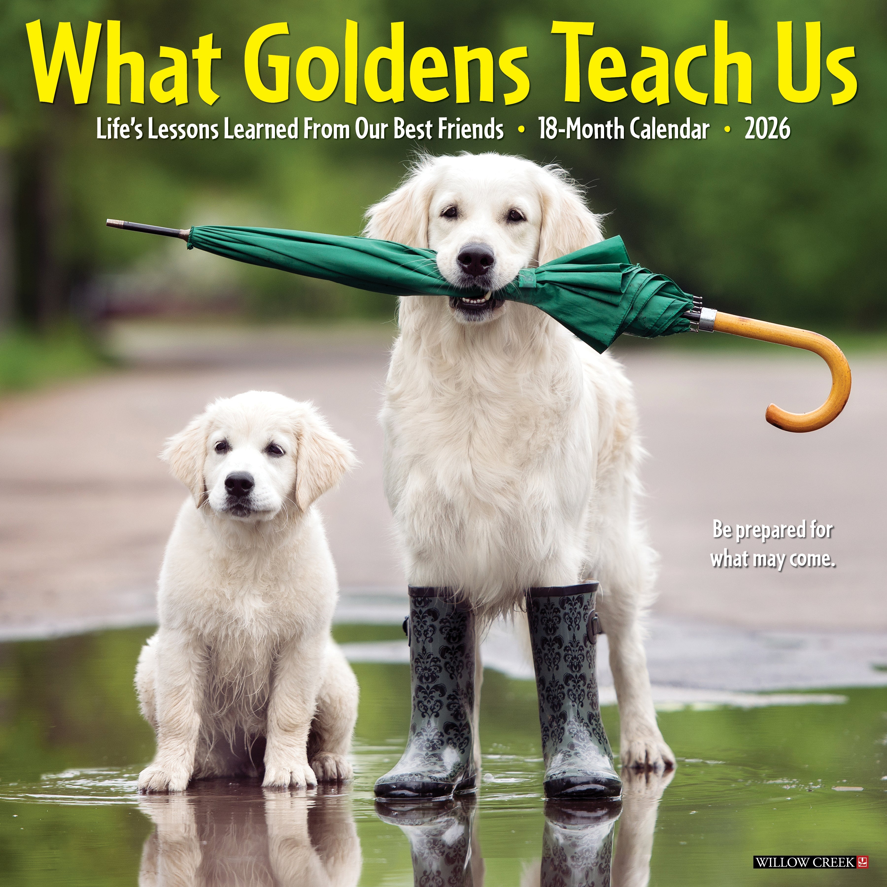 What Goldens Teach Us 2026 Wall Calendar featuring Golden Retrievers with inspiring lessons