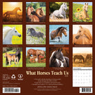 What Horses Teach Us 2026 12" x 12" Wall Calendar back cover featuring inspirational horse images for planning.