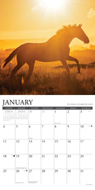 What Horses Teach Us 2026 12" x 12" Wall Calendar January page with horse silhouette and sunset