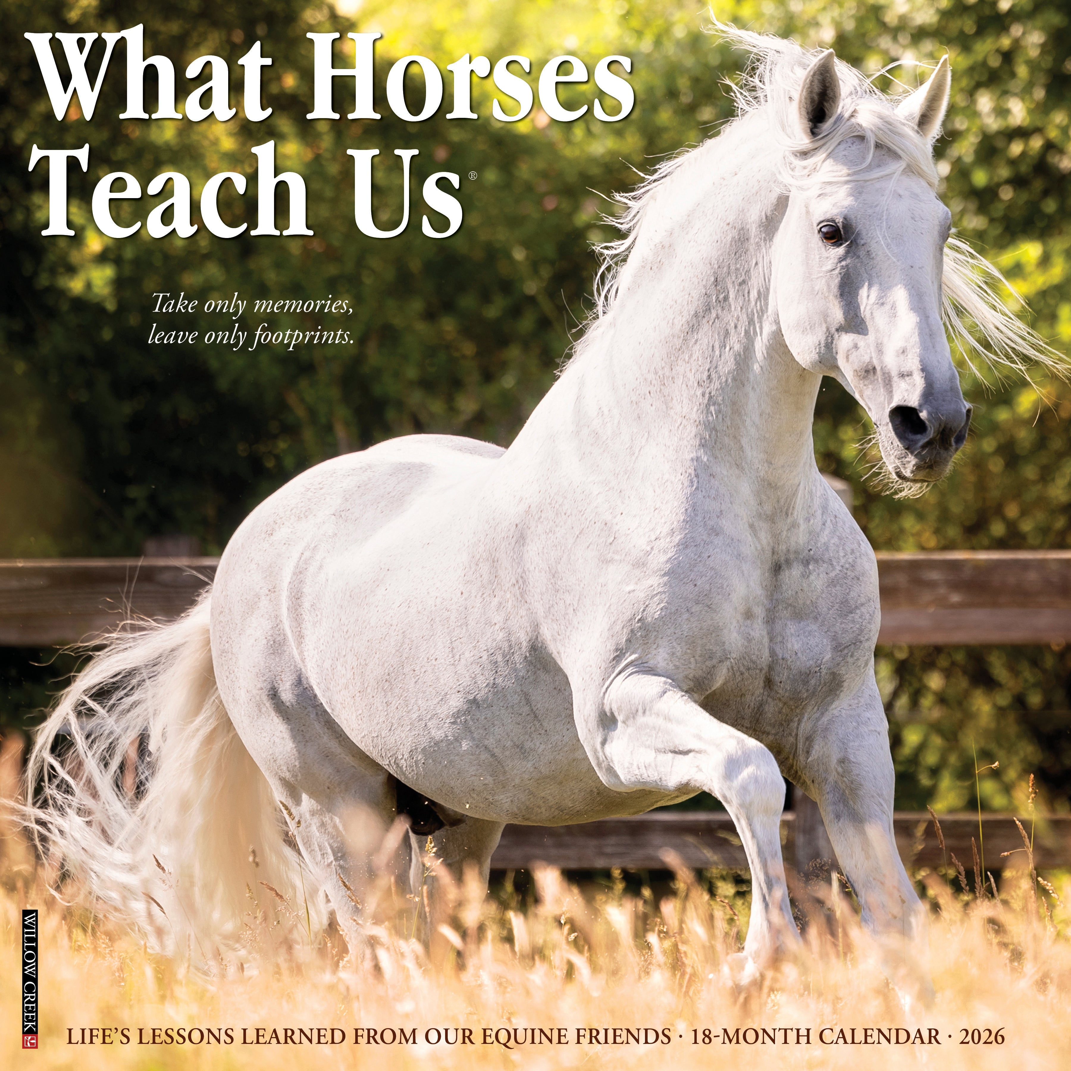 What Horses Teach Us 2026 12" x 12" Wall Calendar featuring a white horse with inspiring quotes for life lessons.